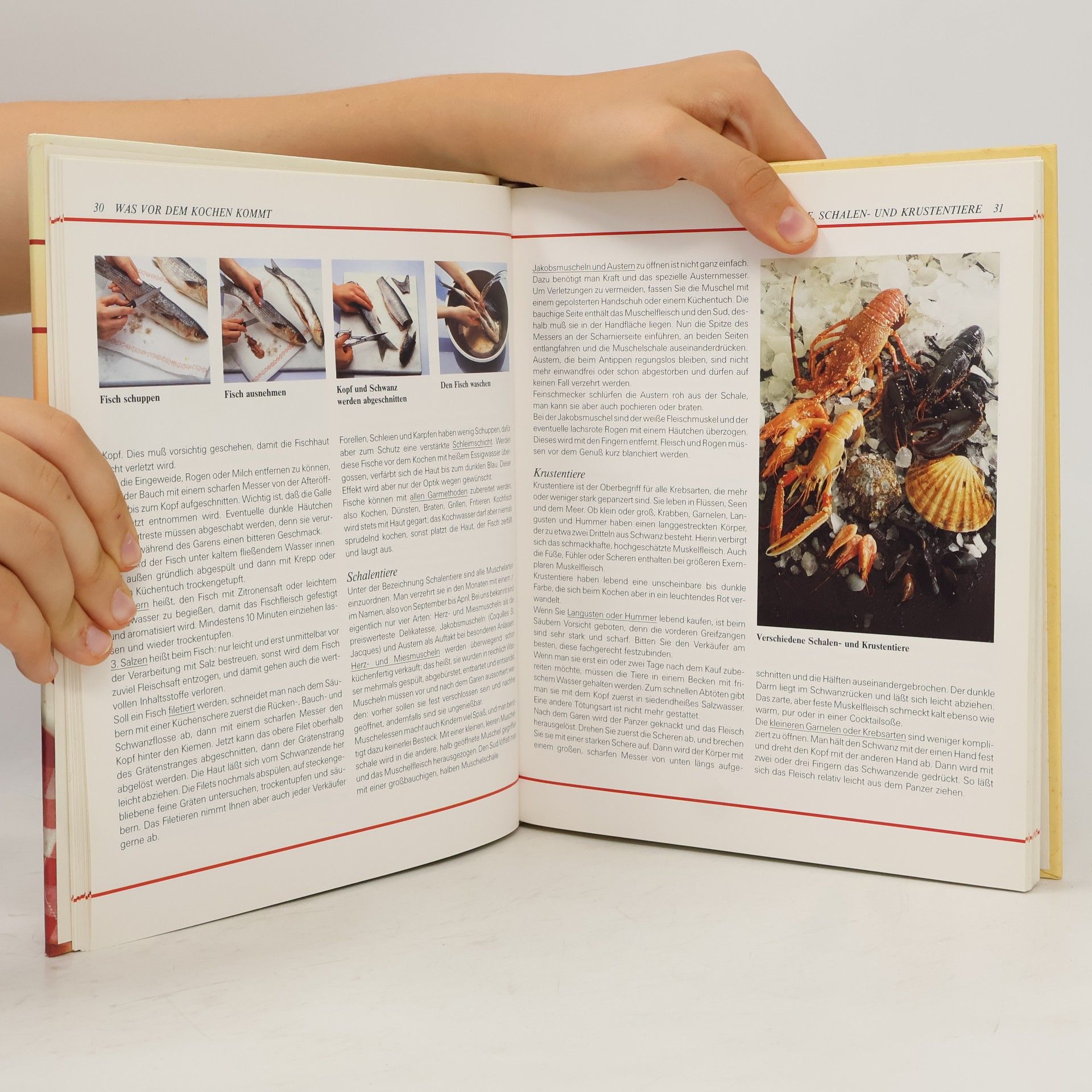 Various authors Das neue grosse Kochbuch
