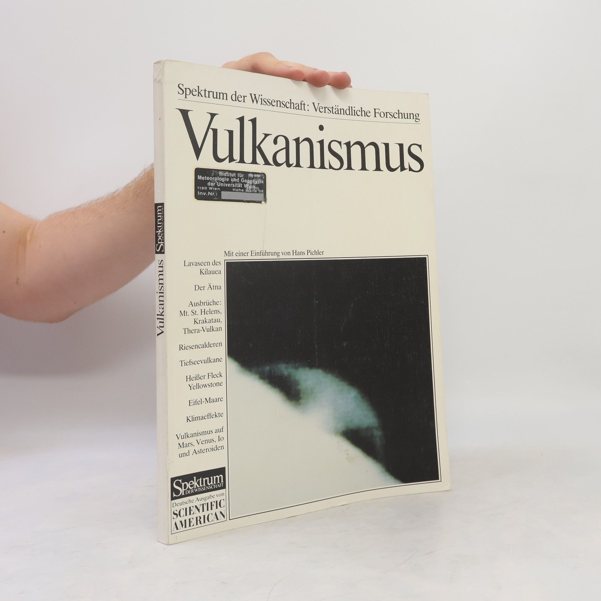Hans Pichler Vulkanismus