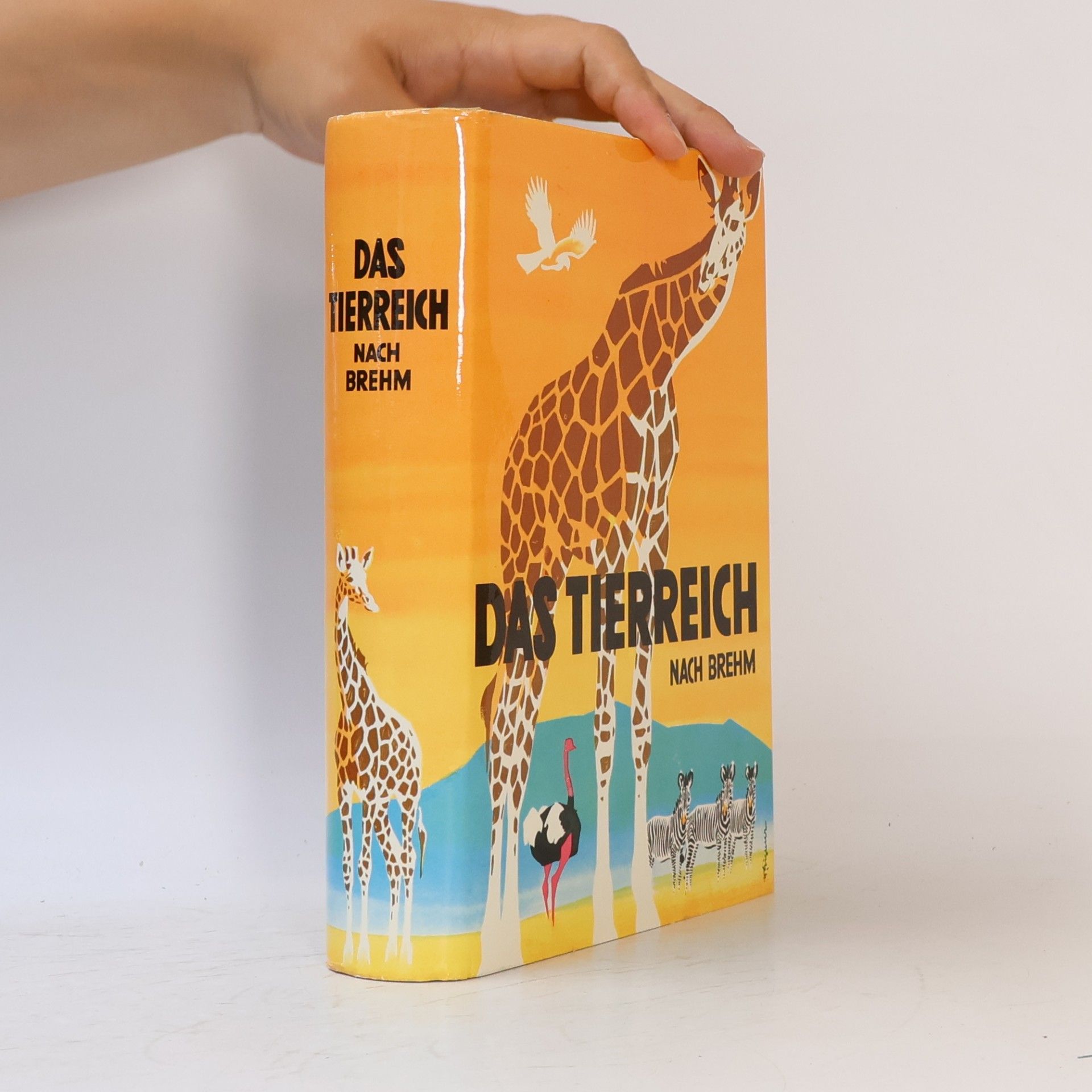 Autorenkollektiv Das Tierreich nach Brehm