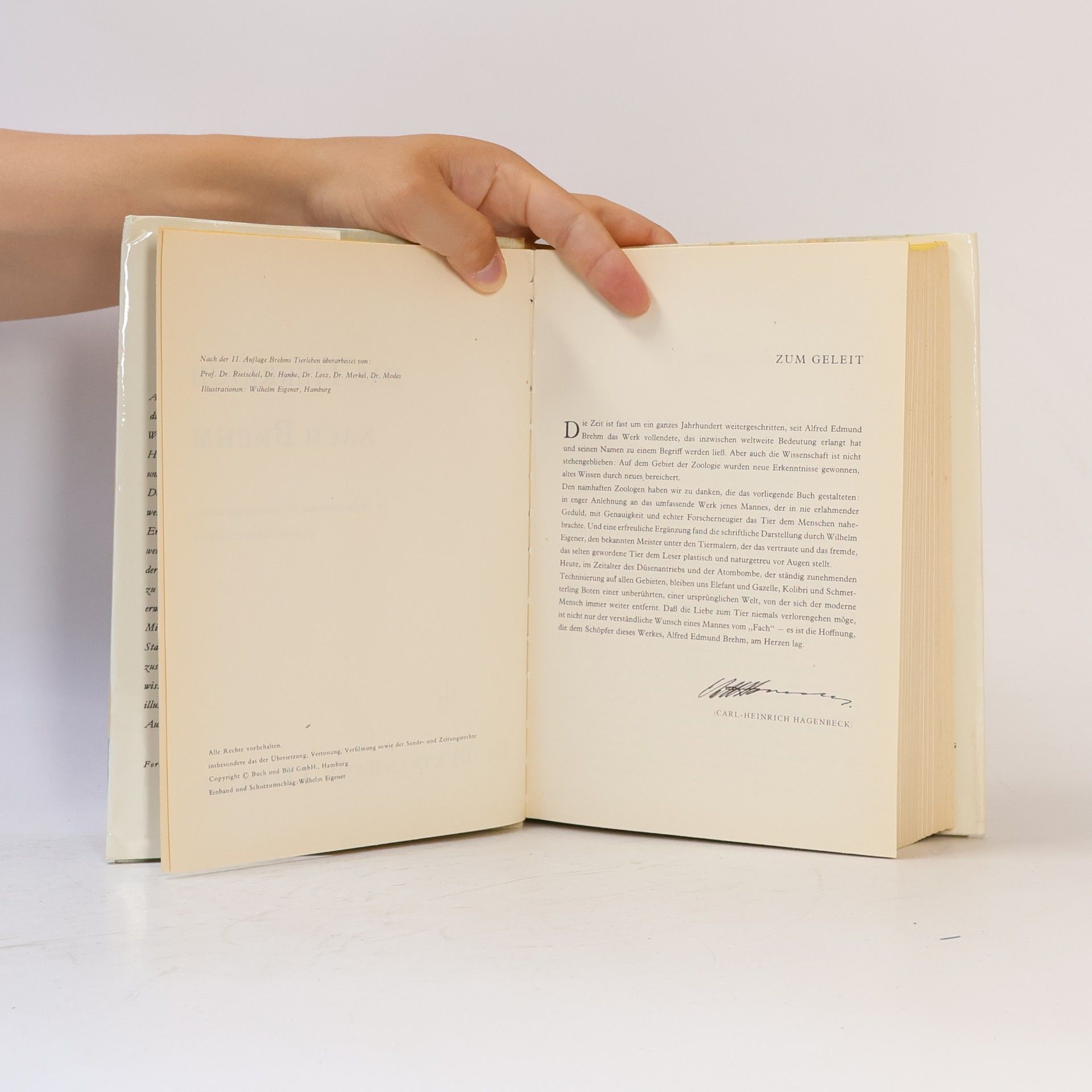 Autorenkollektiv Das Tierreich nach Brehm