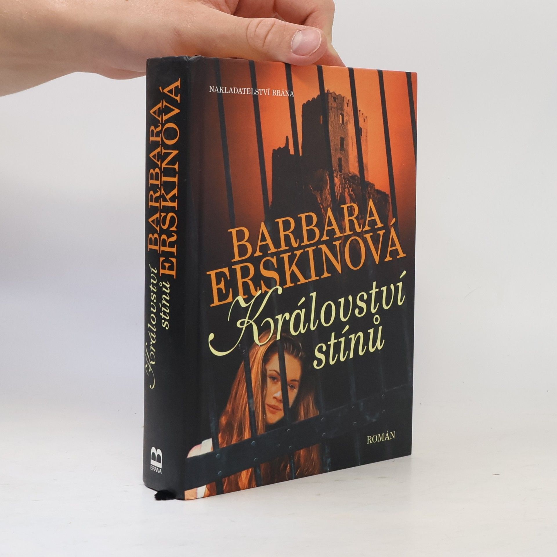 Barbara Erskine Království stínů : román