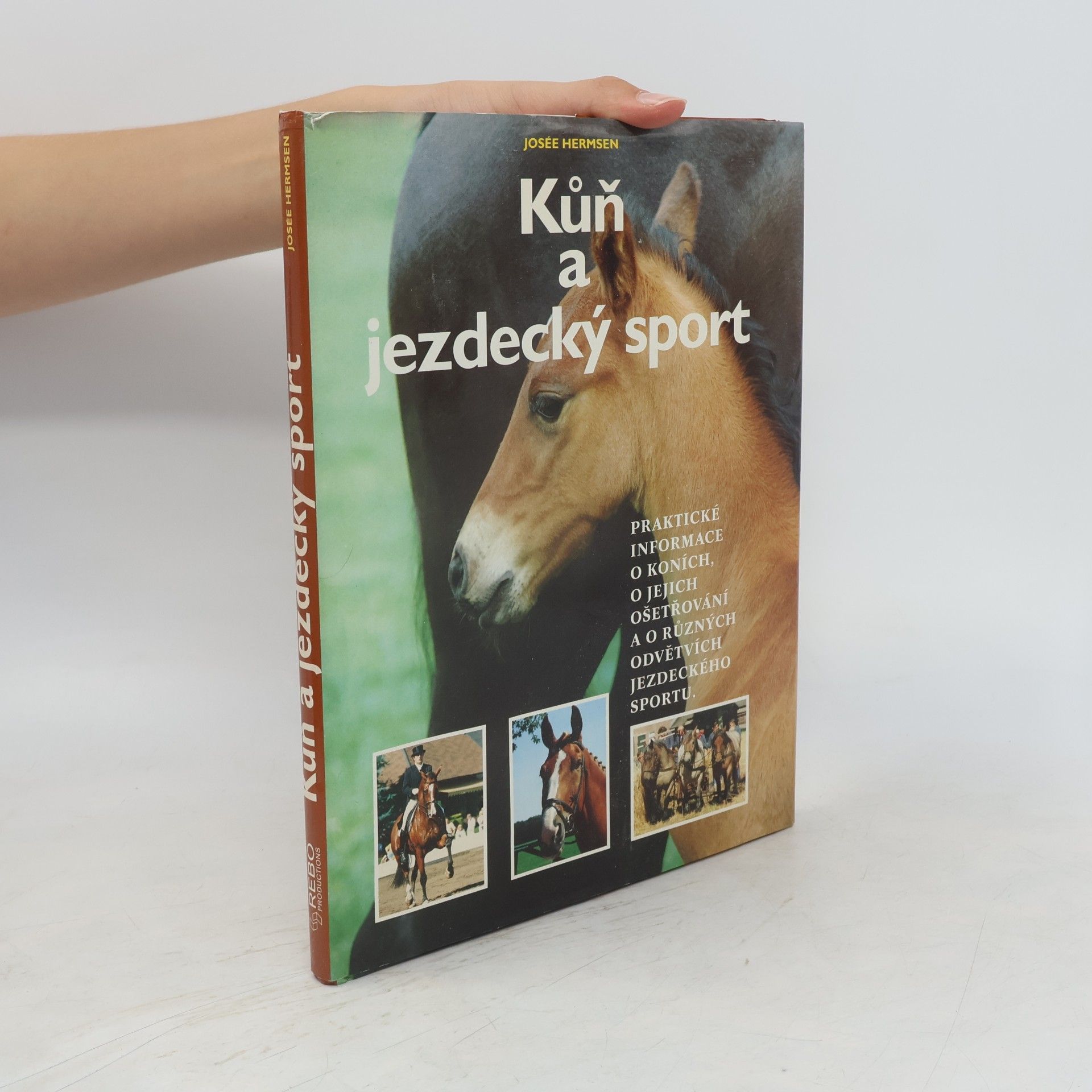 Josée Hermsen Kůň a jezdecký sport