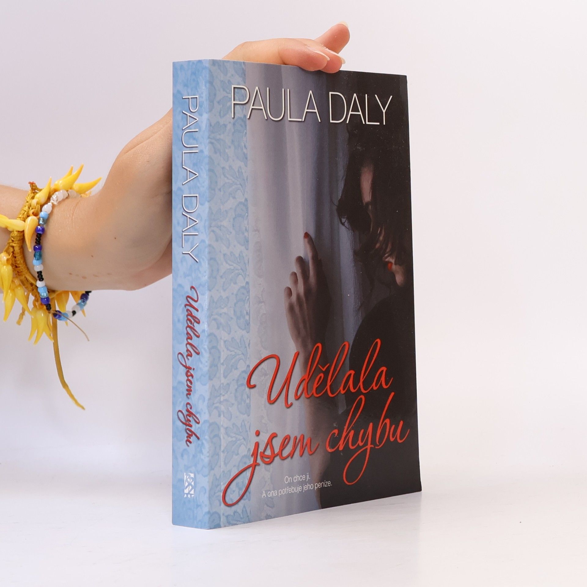 Paula Daly Udělala jsem chybu