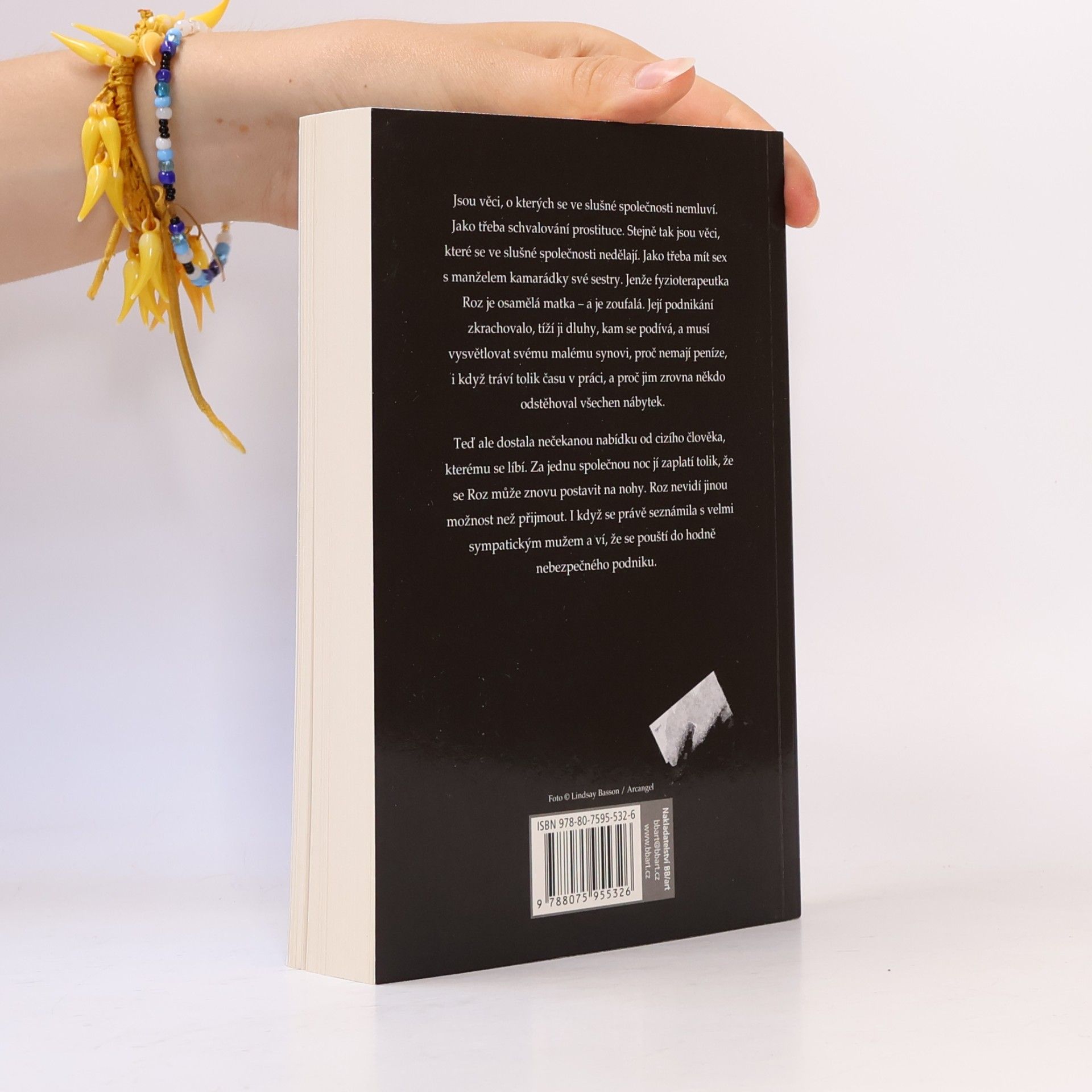 Paula Daly Udělala jsem chybu