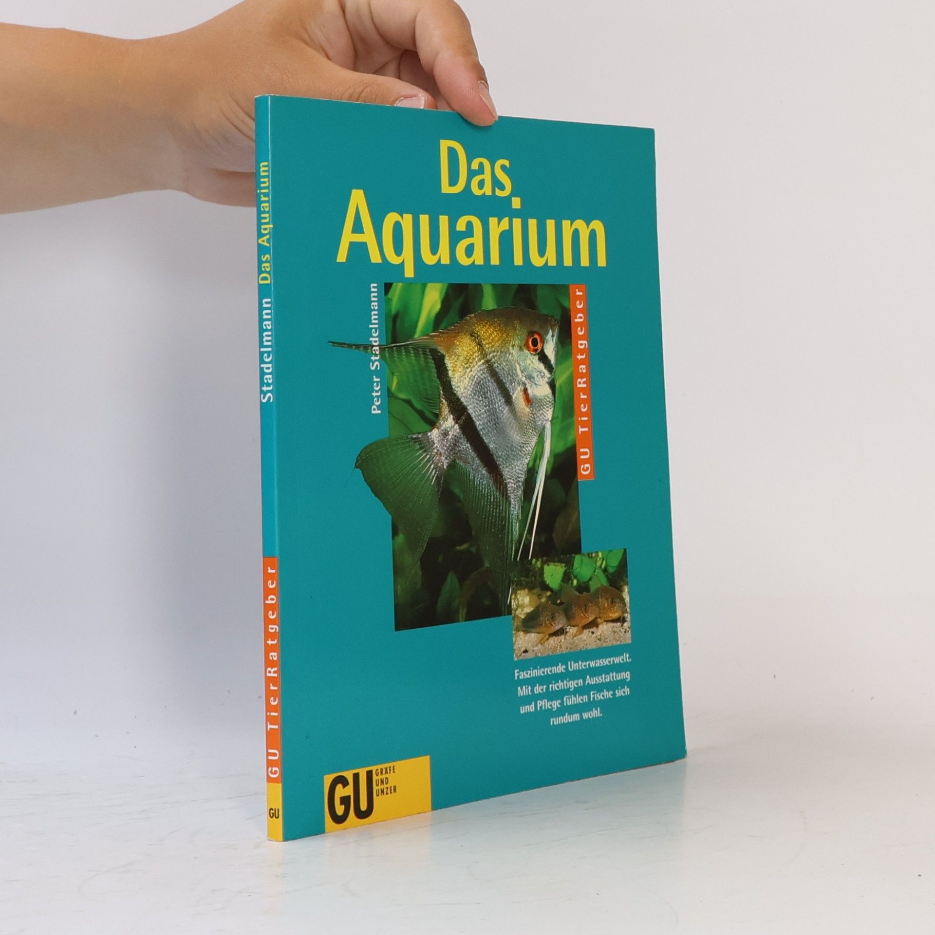 Peter Stademann Das Aquarium