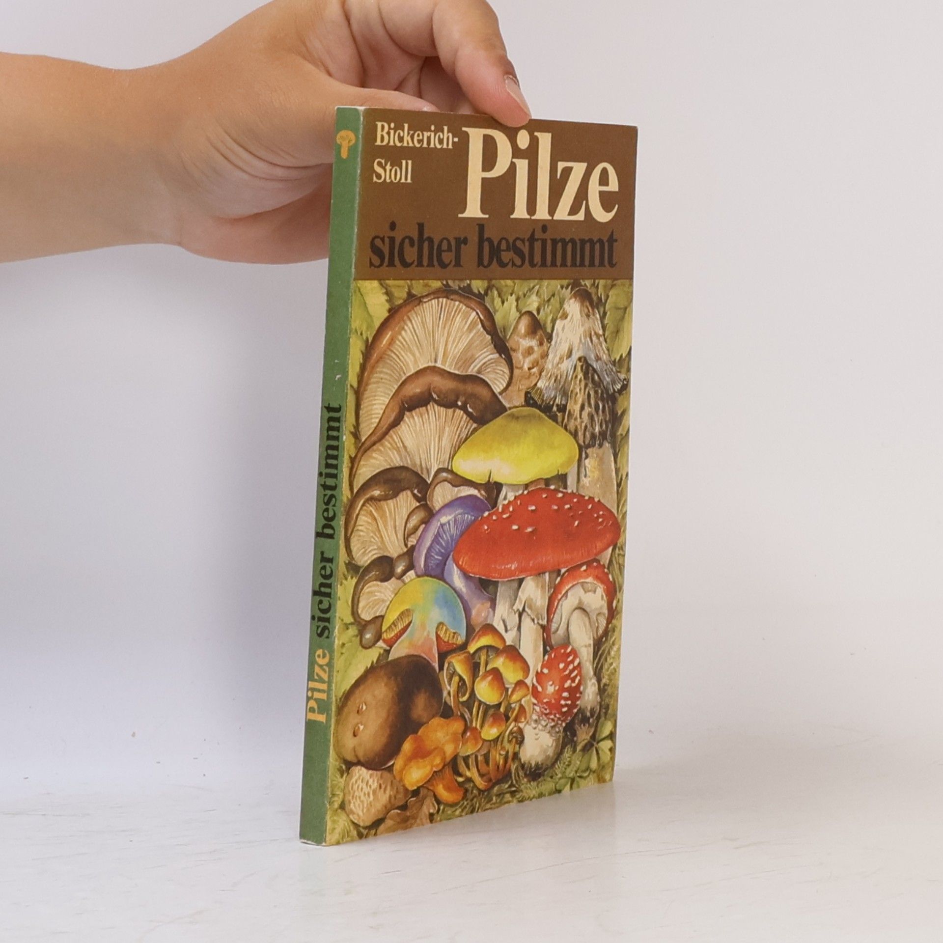 Katharina Bickerich Stoll Pilze sicher bestimmt