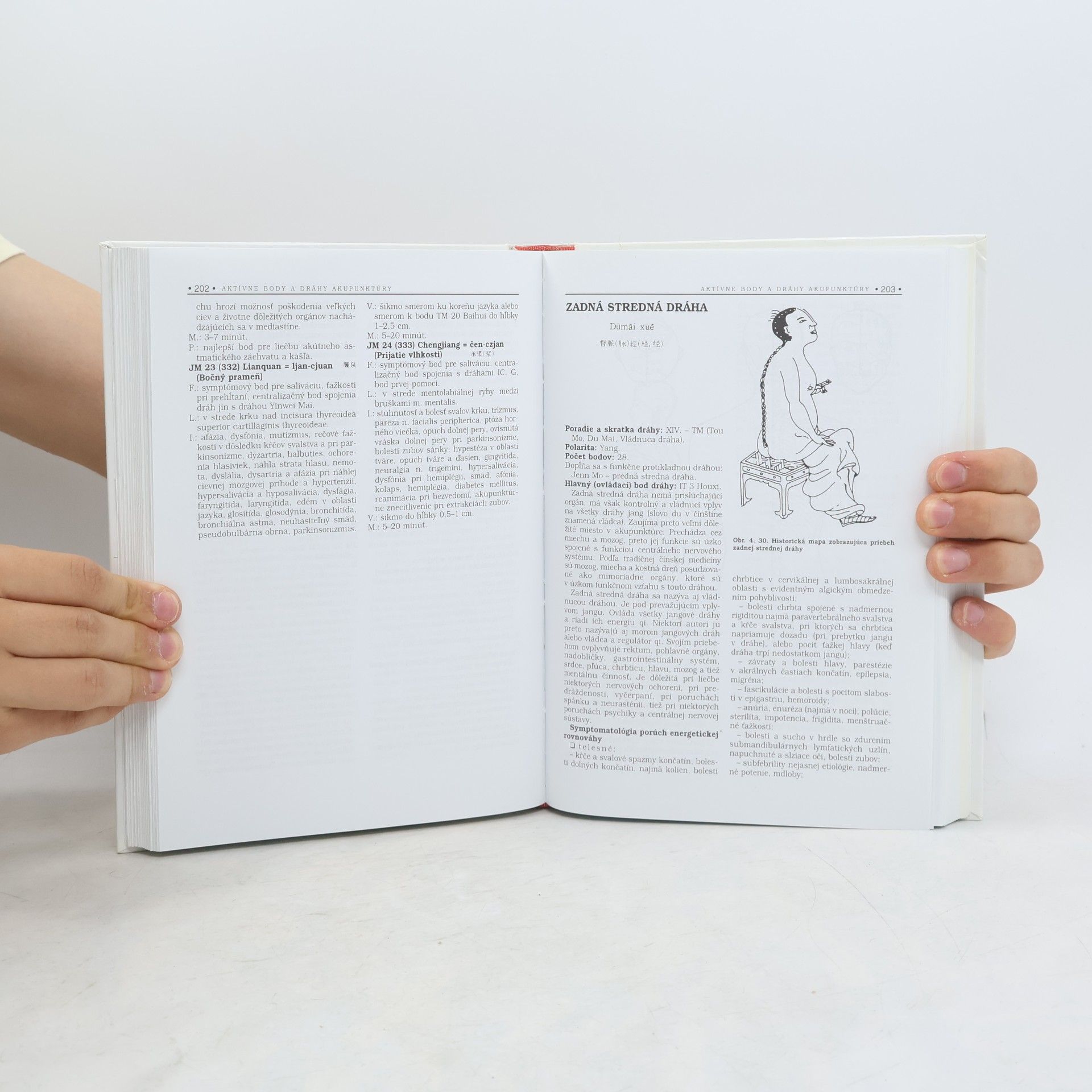 Jozef Šmirala Kompendium akupunktúry 1