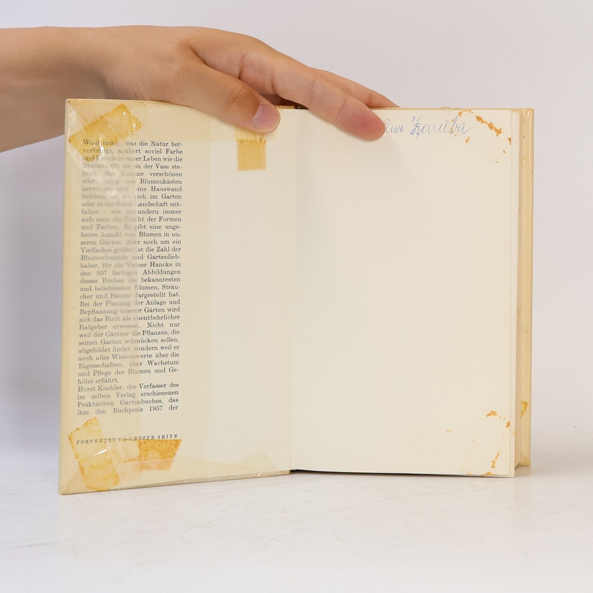 Autorenkollektiv Das bunte Blumenbuch