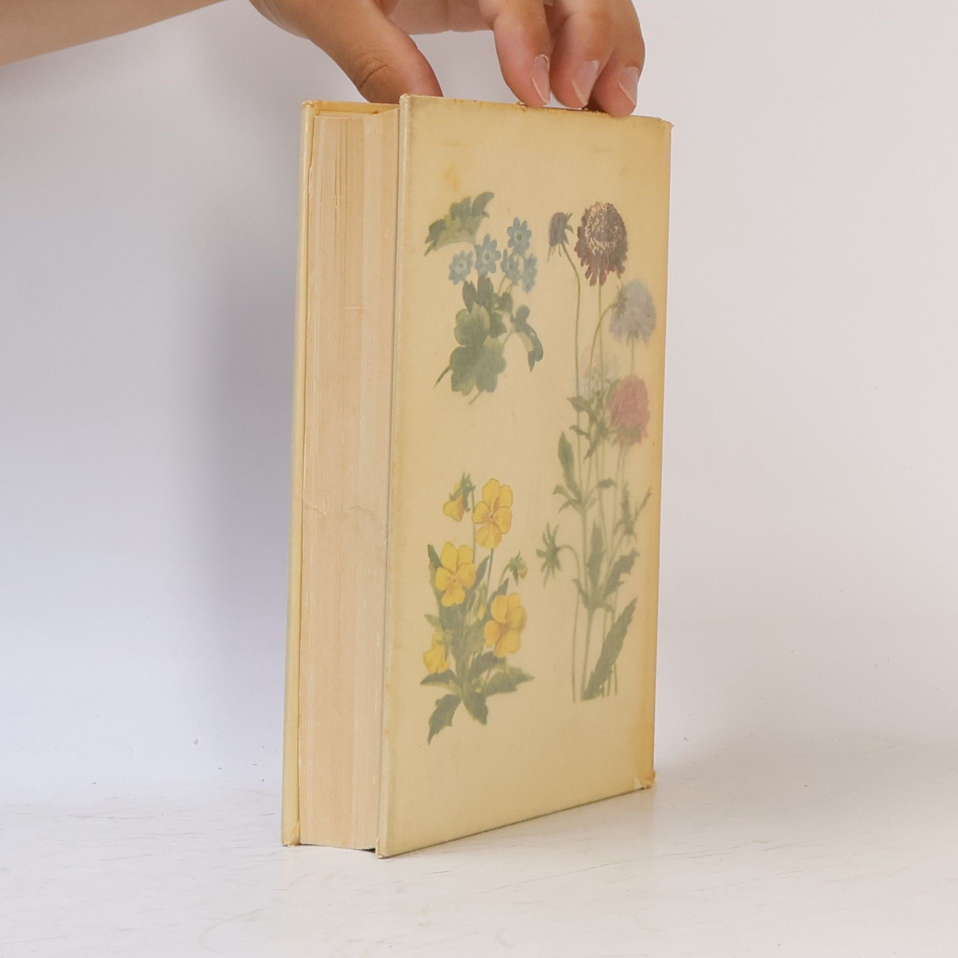 Autorenkollektiv Das bunte Blumenbuch
