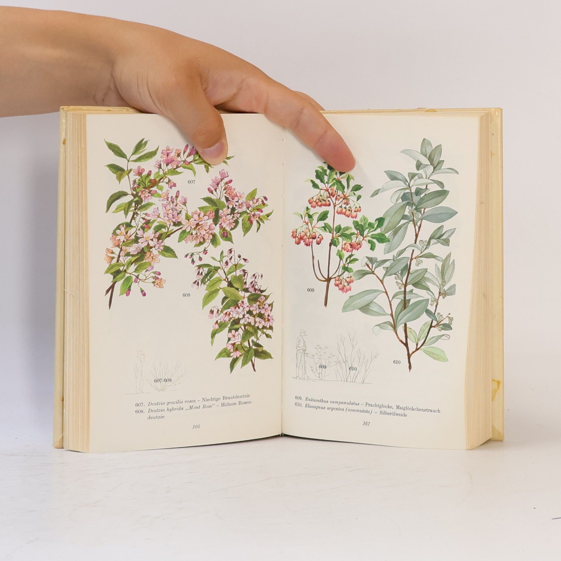 Autorenkollektiv Das bunte Blumenbuch