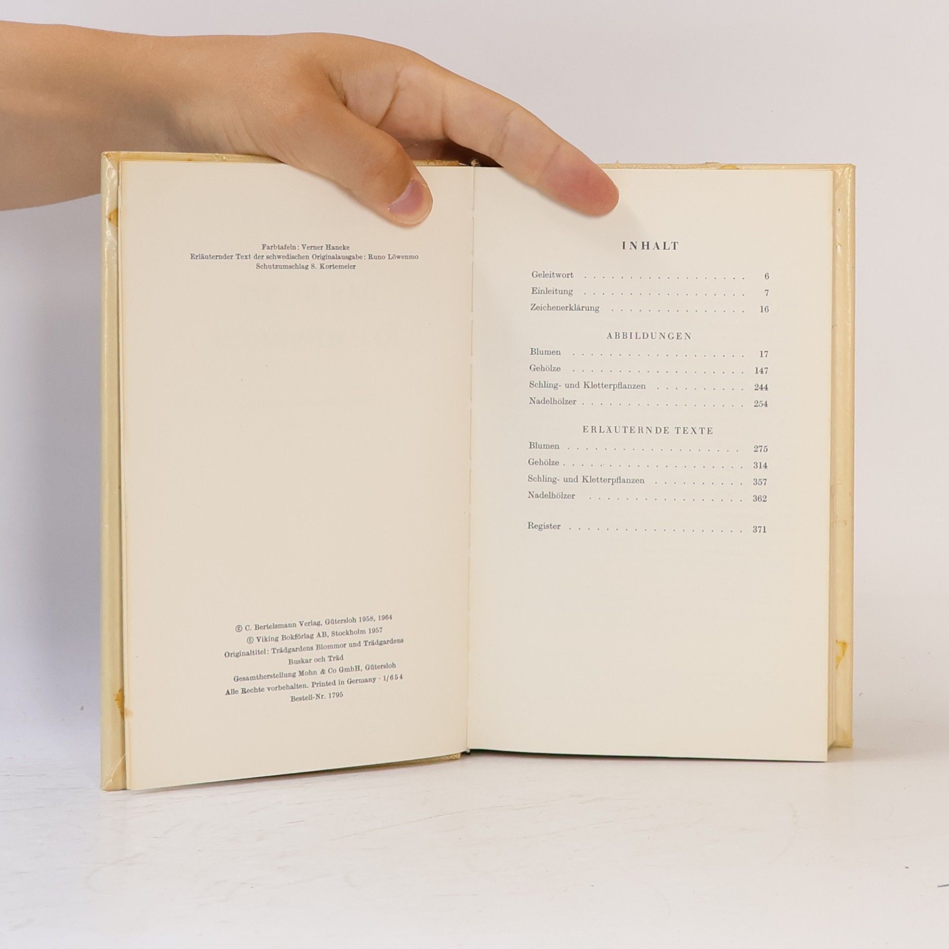 Autorenkollektiv Das bunte Blumenbuch