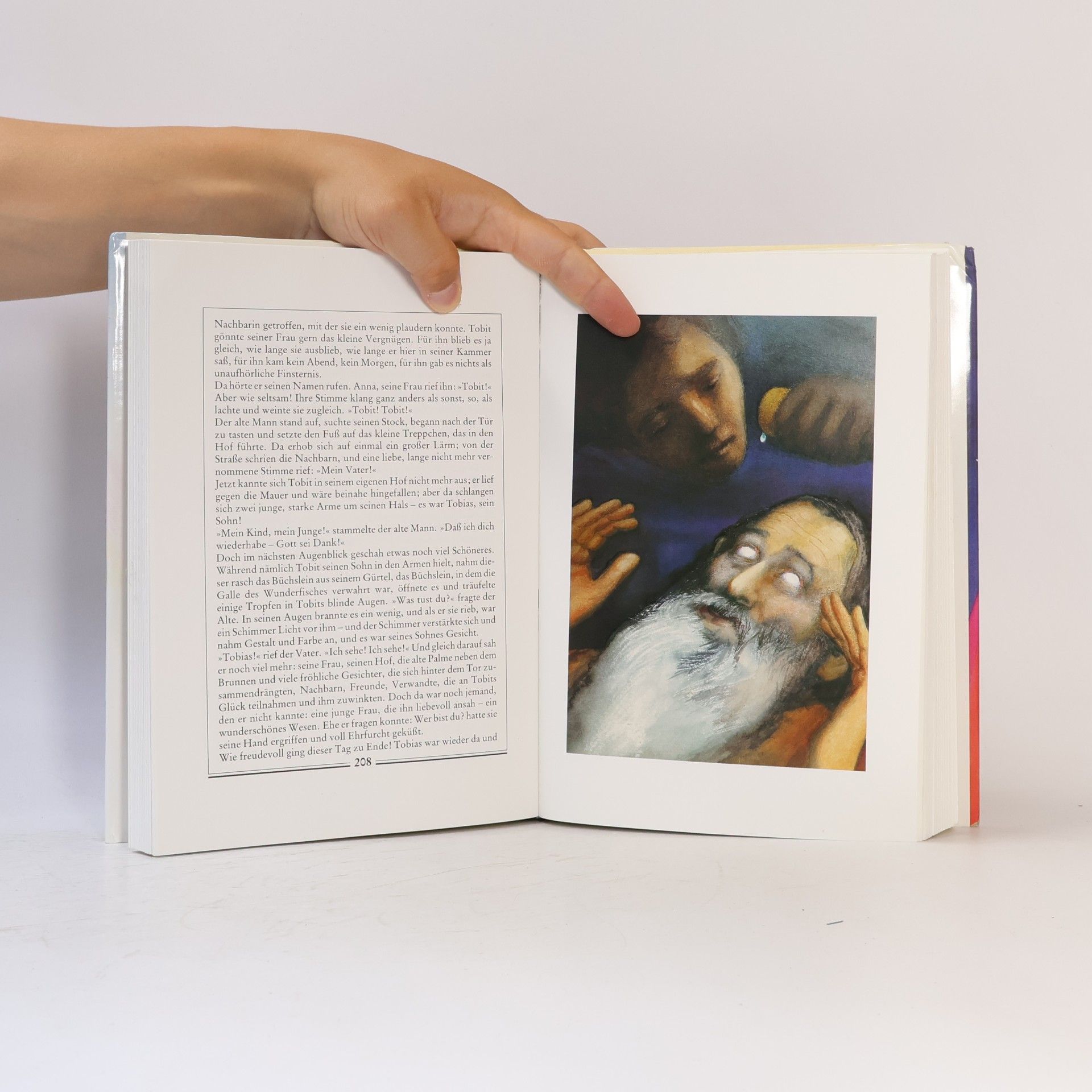 Autores varios Bibelgeschichten