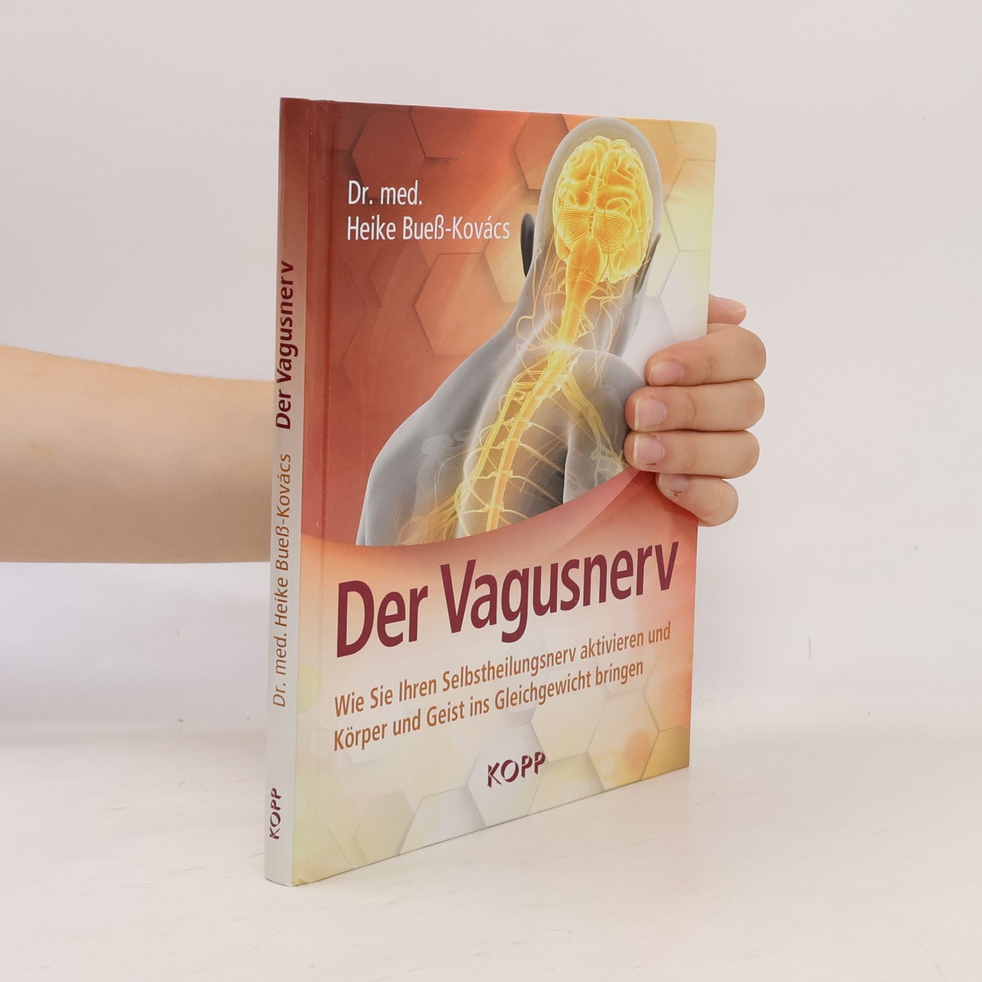 Der Vagusnerv