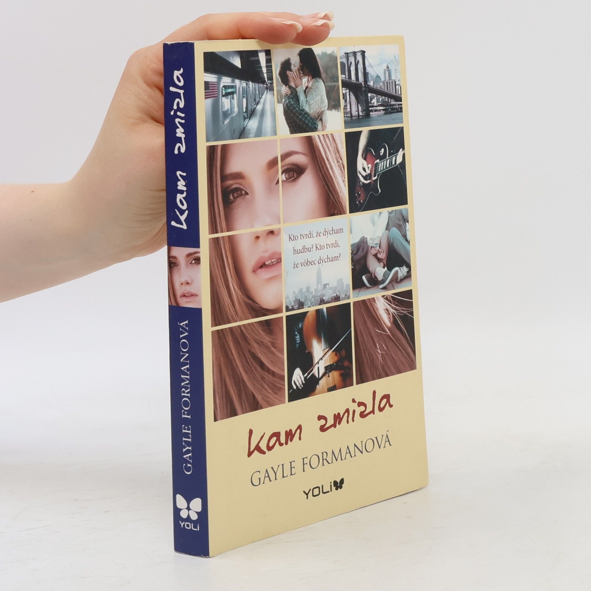 Gayle Forman Kam zmizla