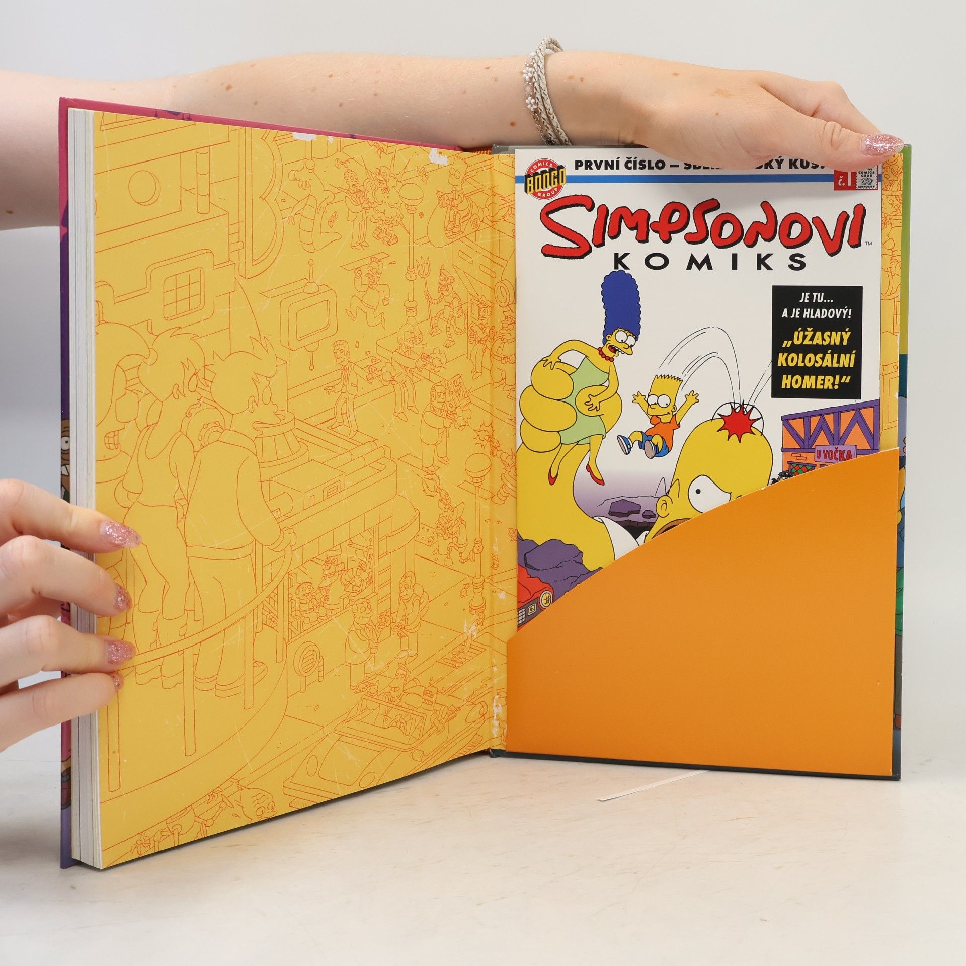 Matt Groening Simpsonovi - Futurama. Propletená lapálie: Crossover (s přílohou)