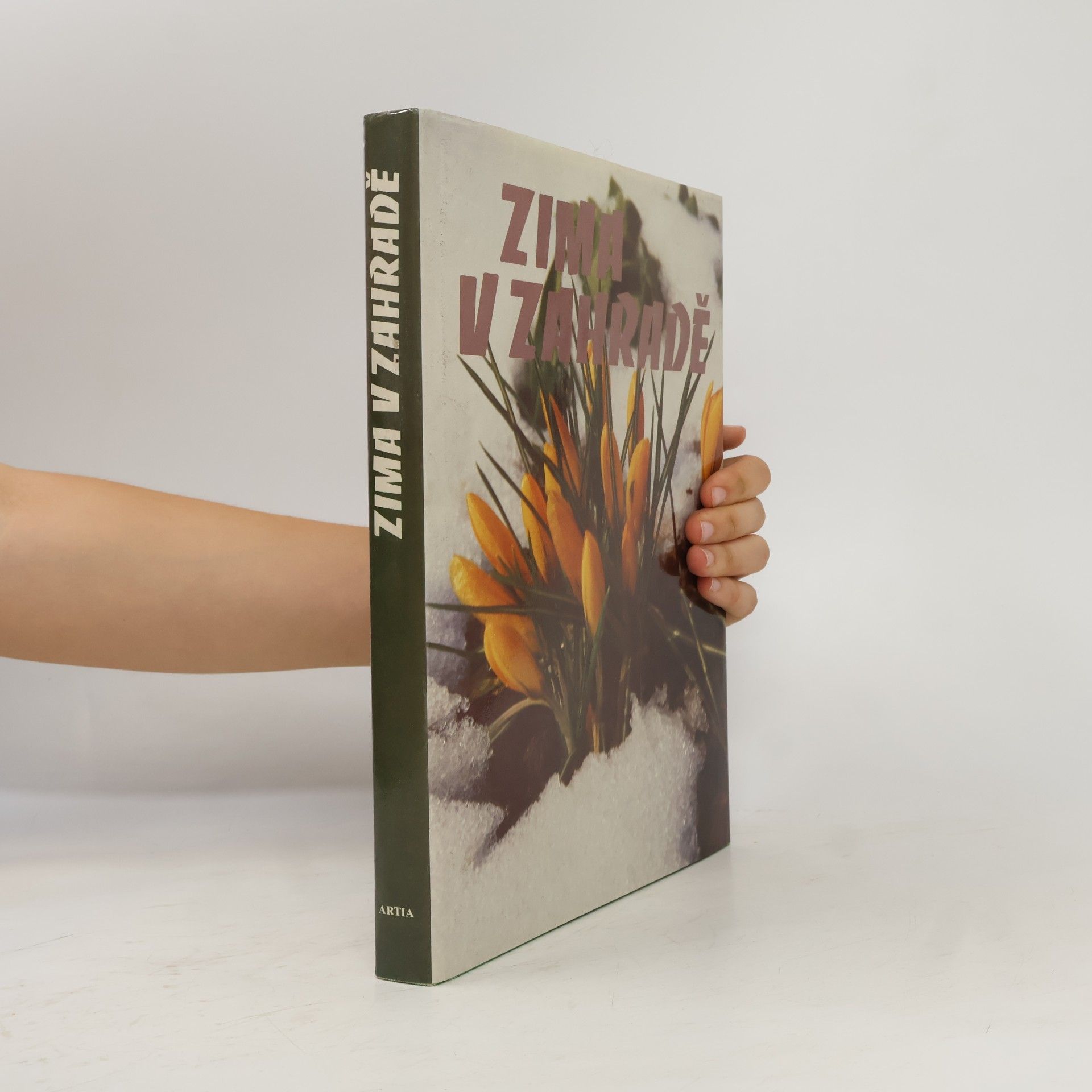 Autorenkollektiv Zima v zahradě