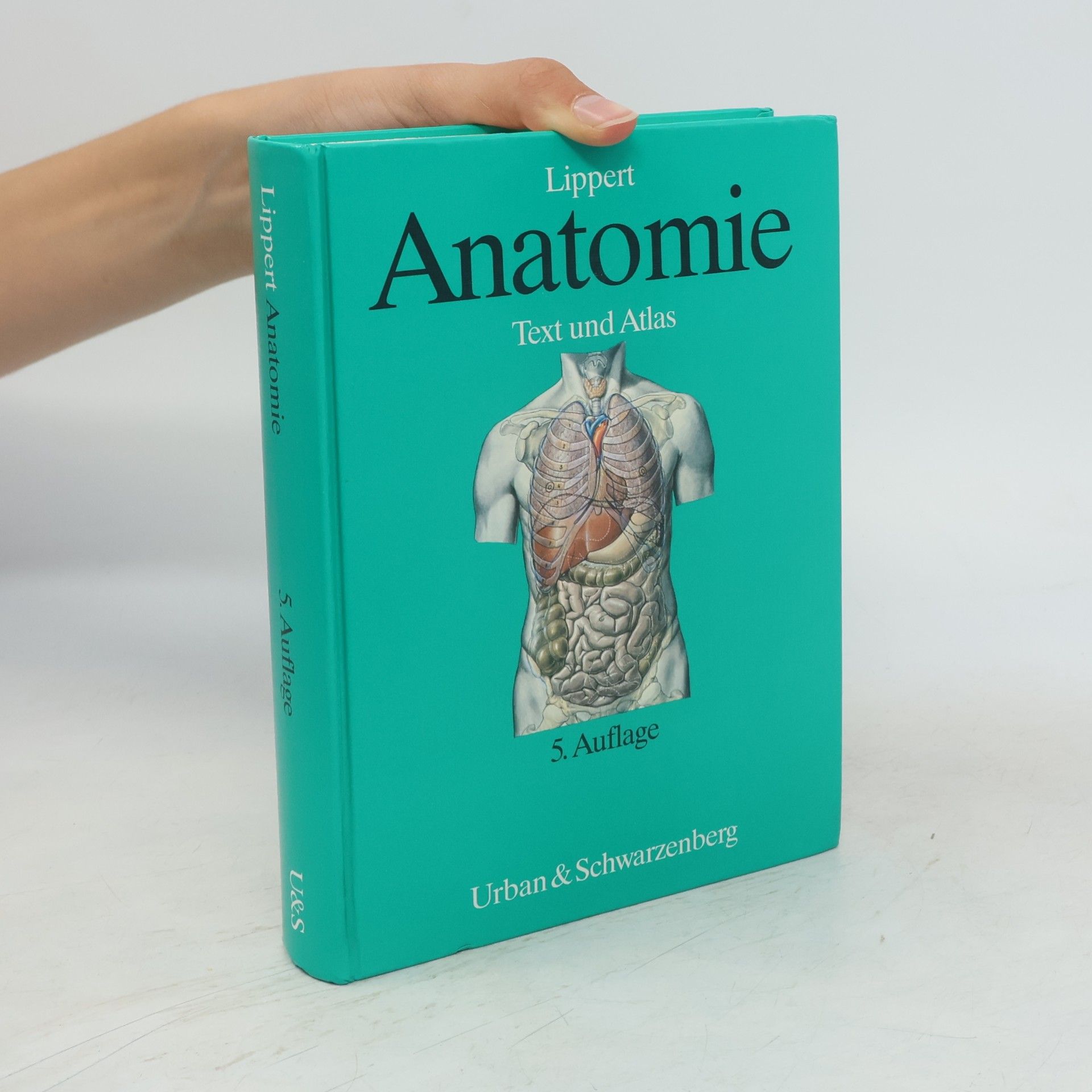 Herbert Lippert Anatomie