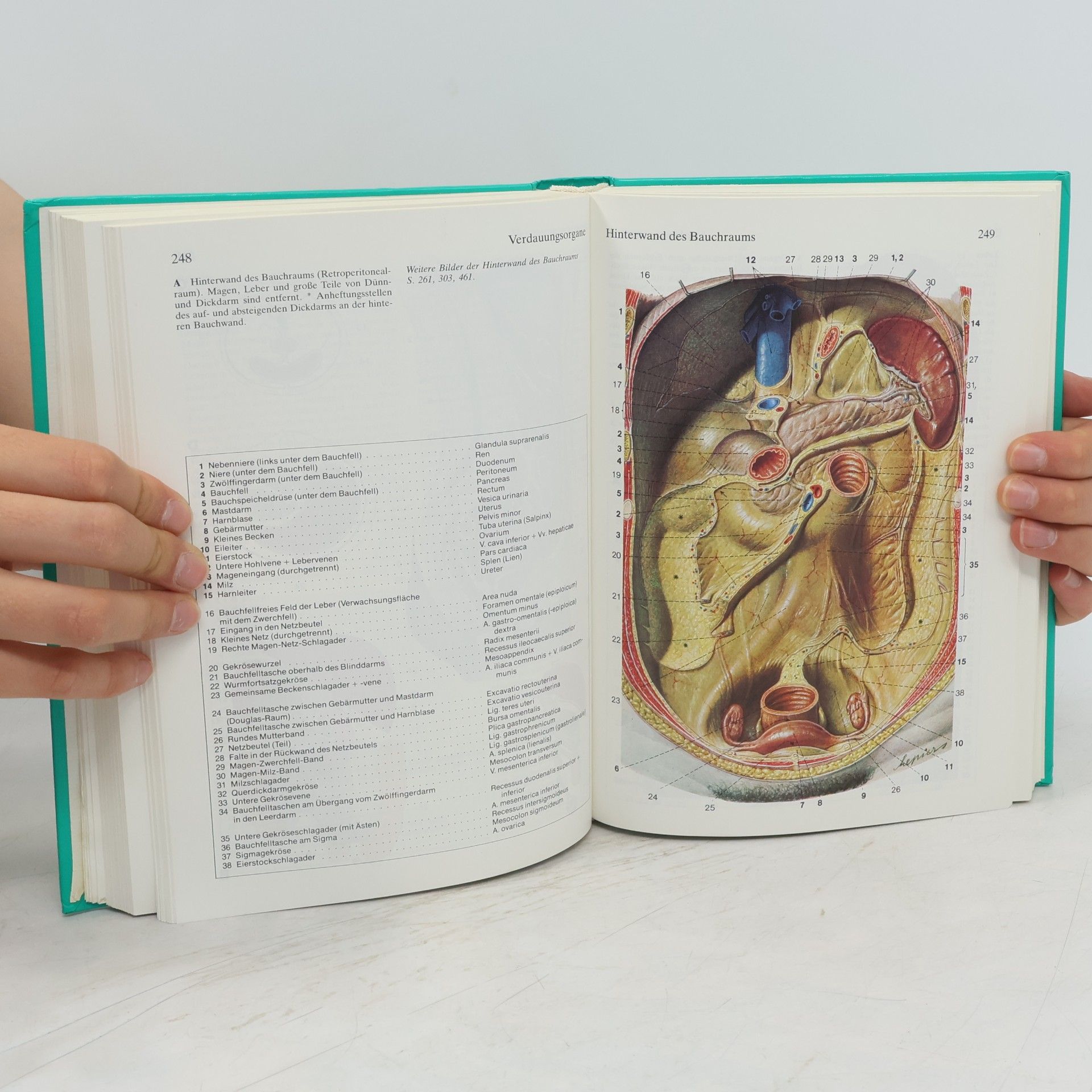 Herbert Lippert Anatomie
