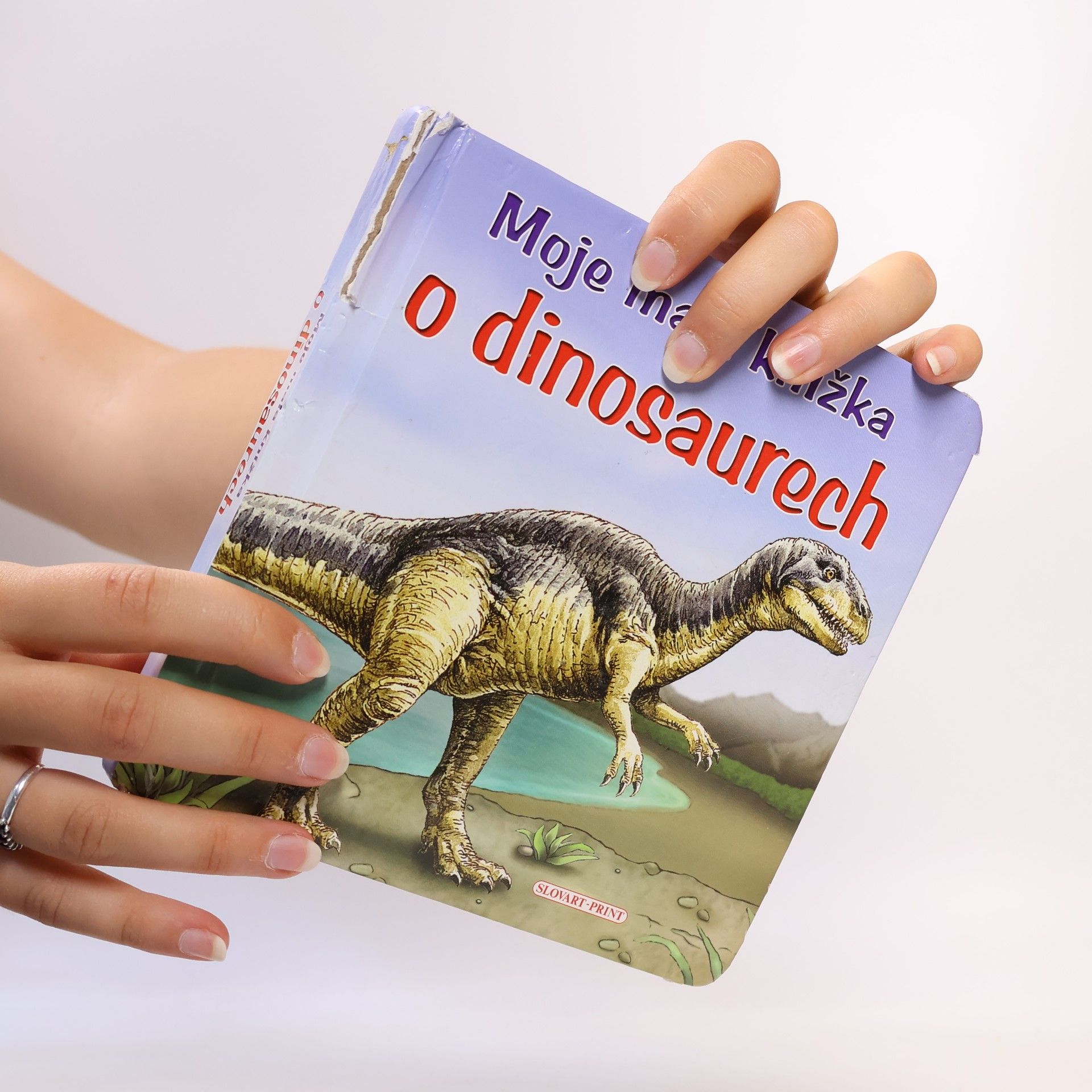 Tomáš Novotný Moje malá knížka o dinosaurech