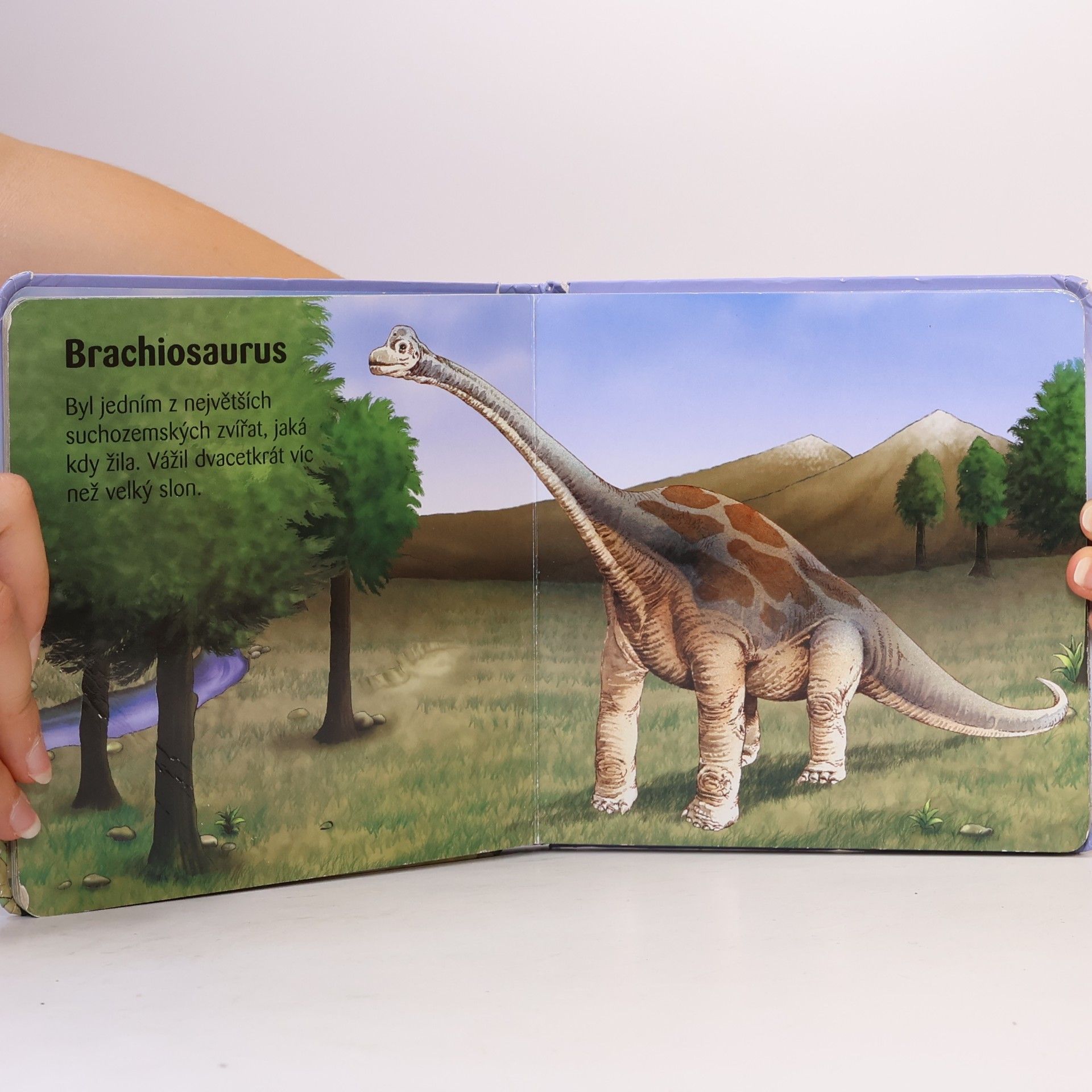 Tomáš Novotný Moje malá knížka o dinosaurech