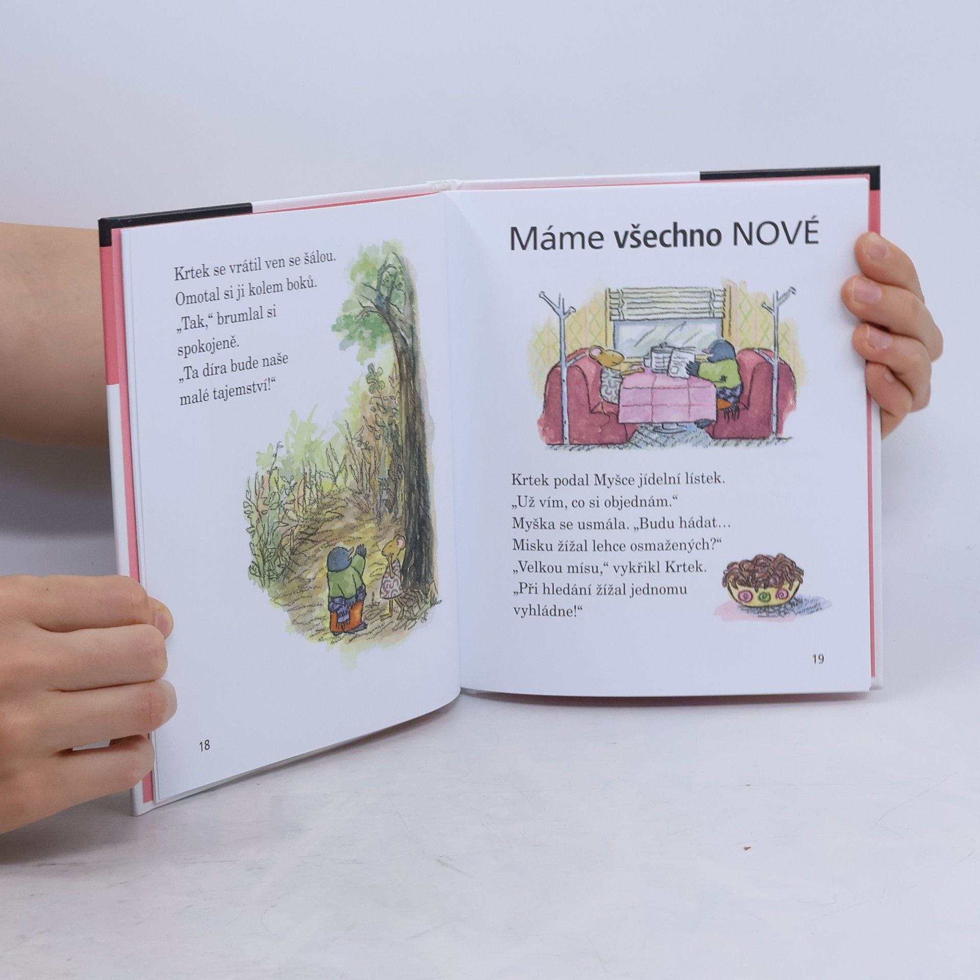 Wong Herbert Yee Myš a Krtek, zbrusu nový den