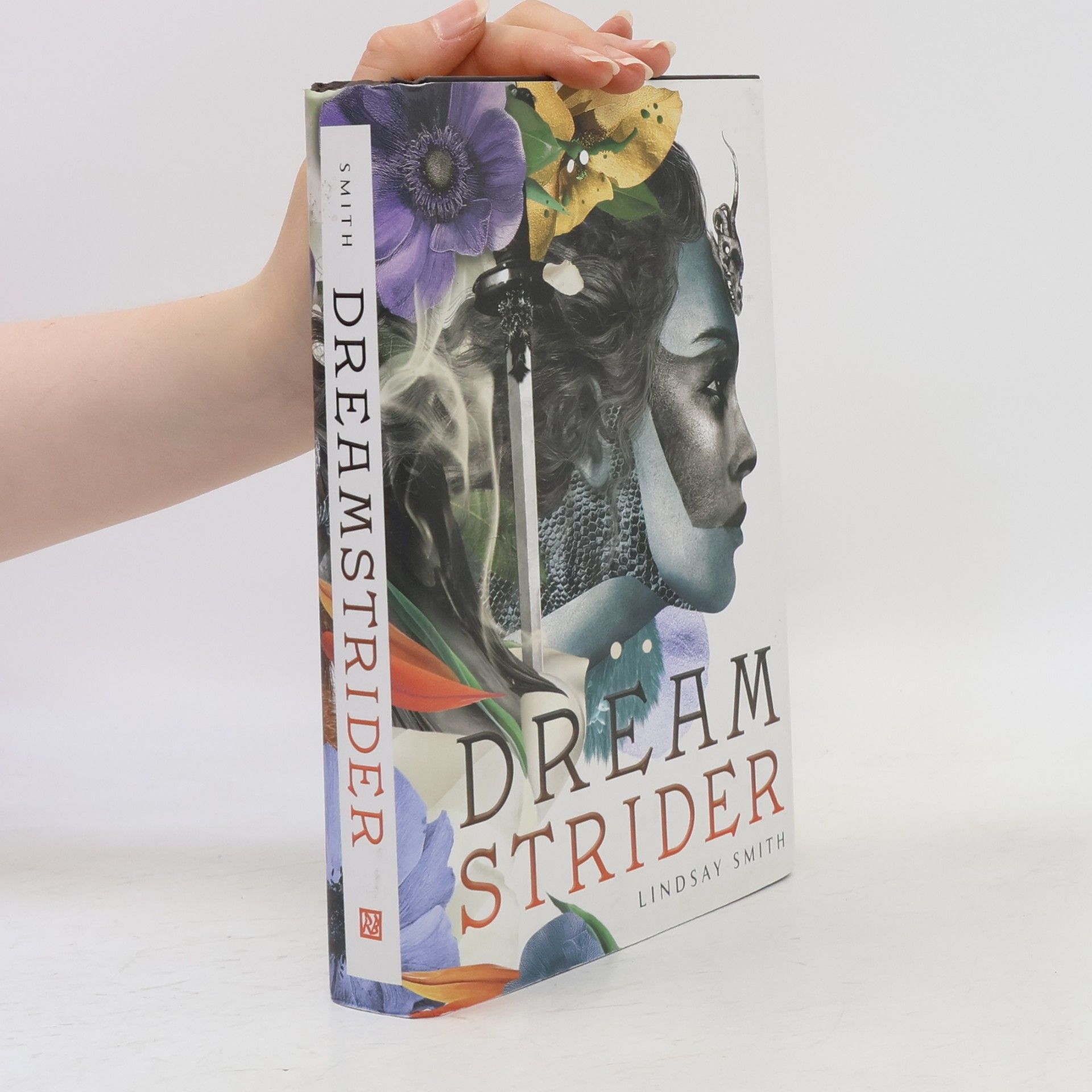 Lindsay Smith Dreamstrider