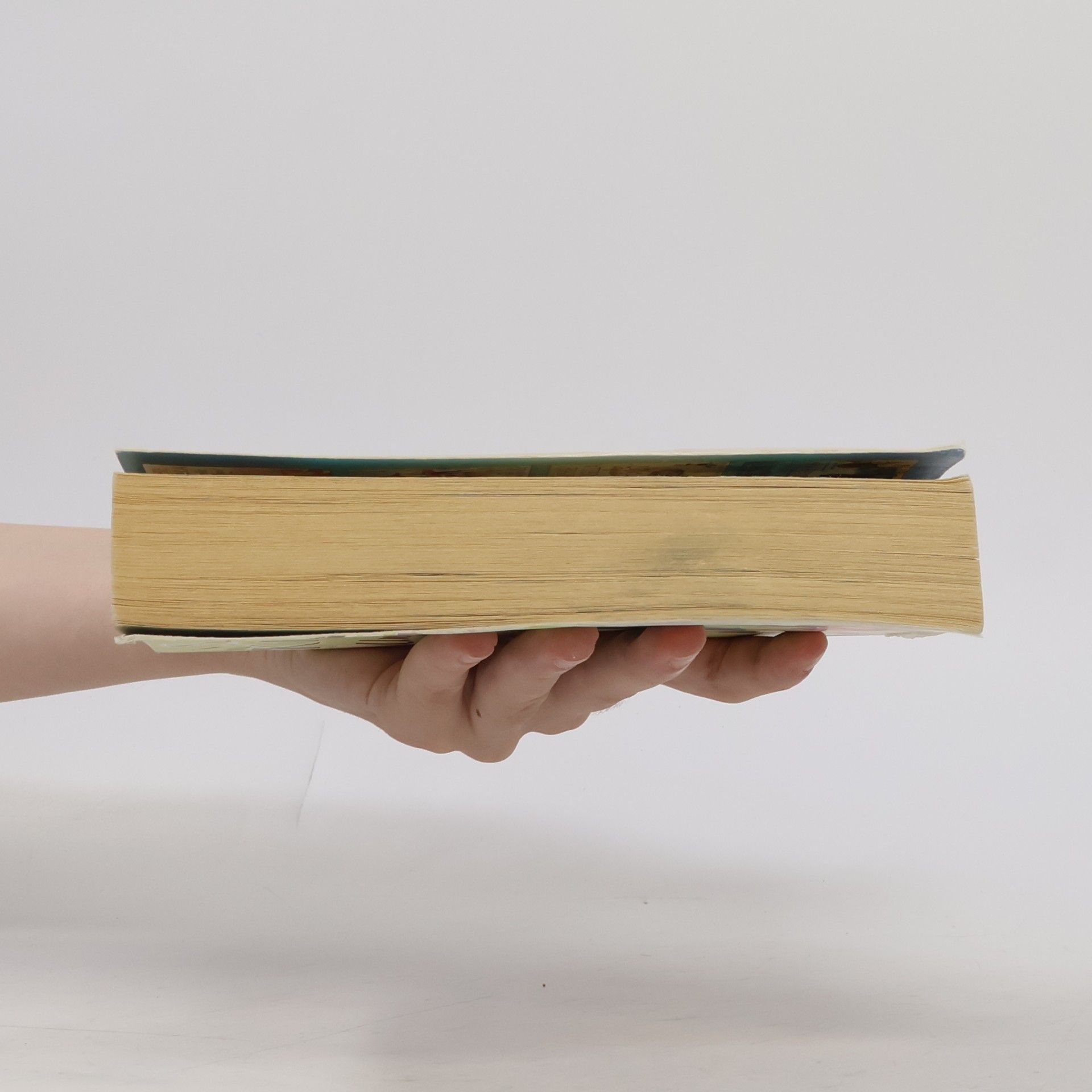 Sophie Kinsella The Undomestic Goddess