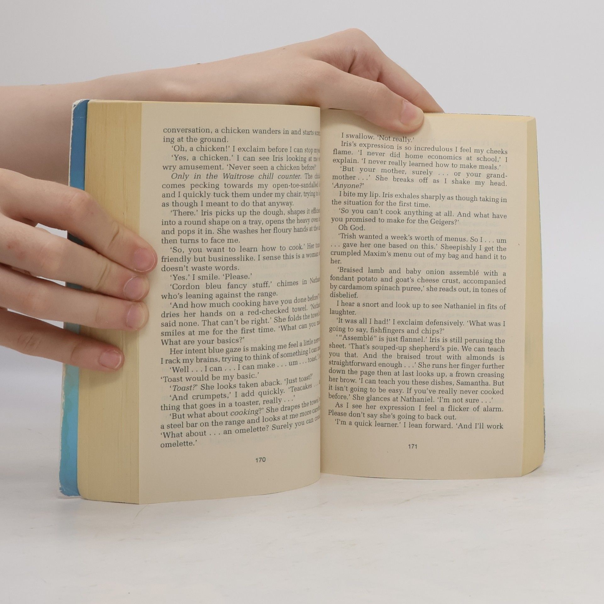 Sophie Kinsella The Undomestic Goddess