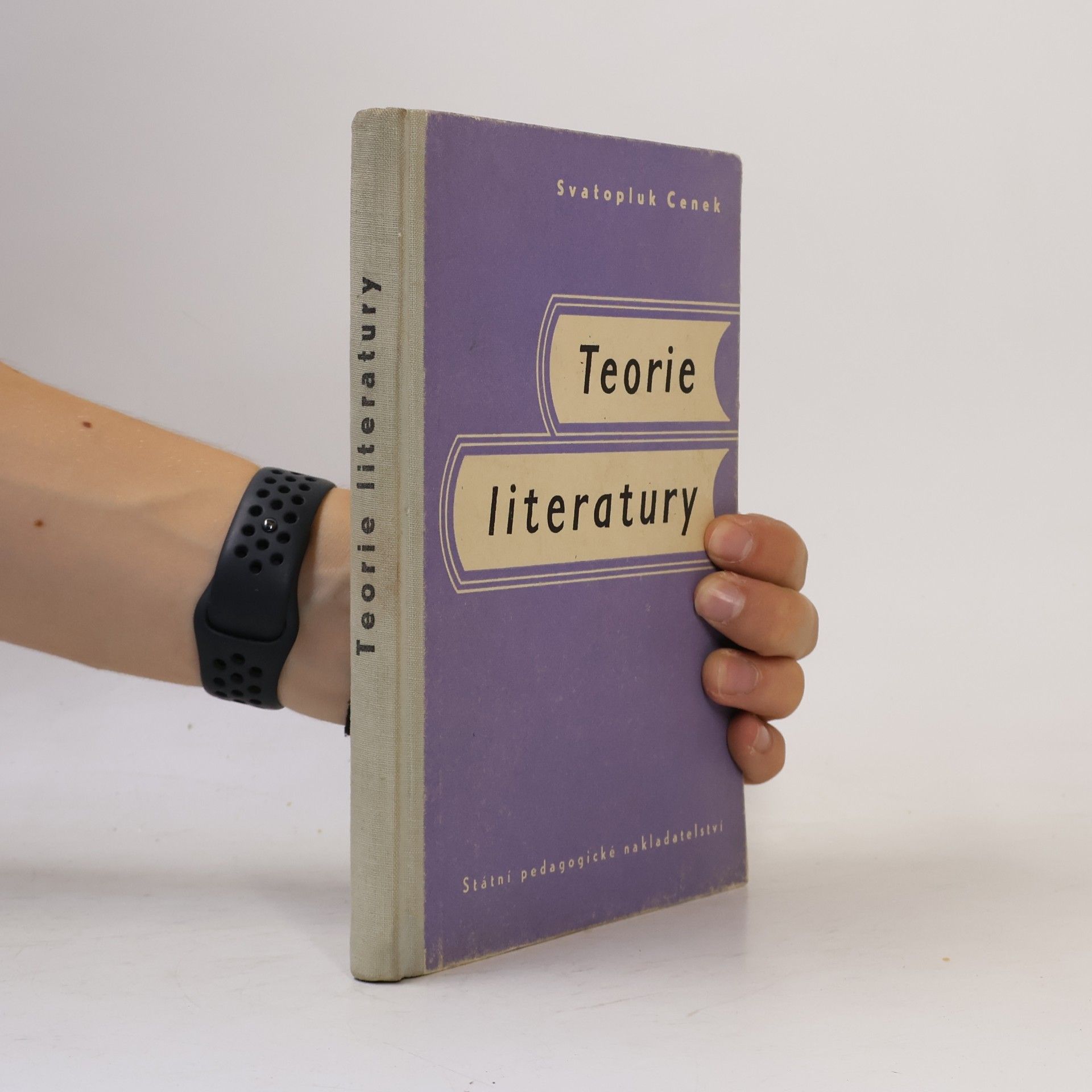 Teorie literatury