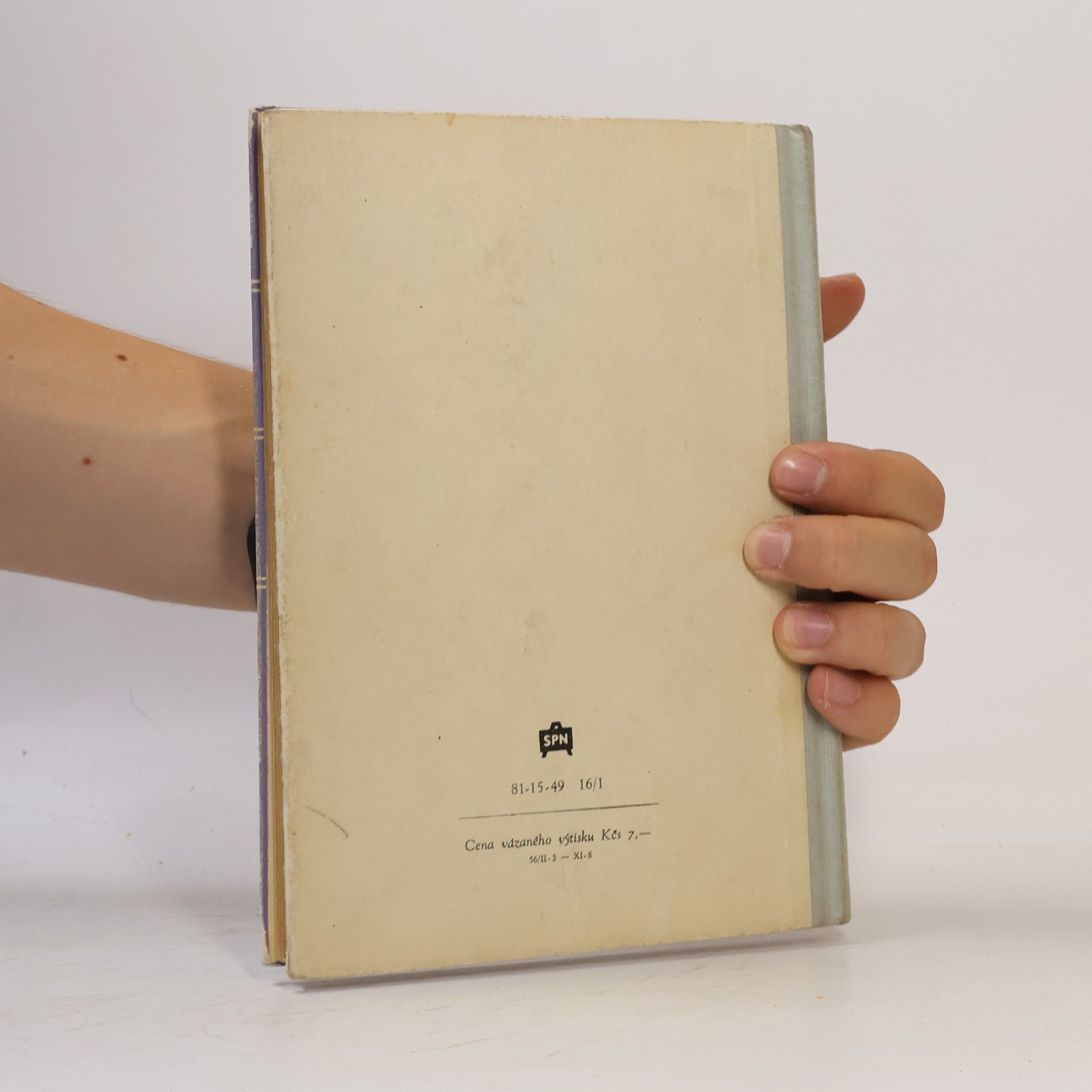 Svatopluk Cenek Teorie literatury