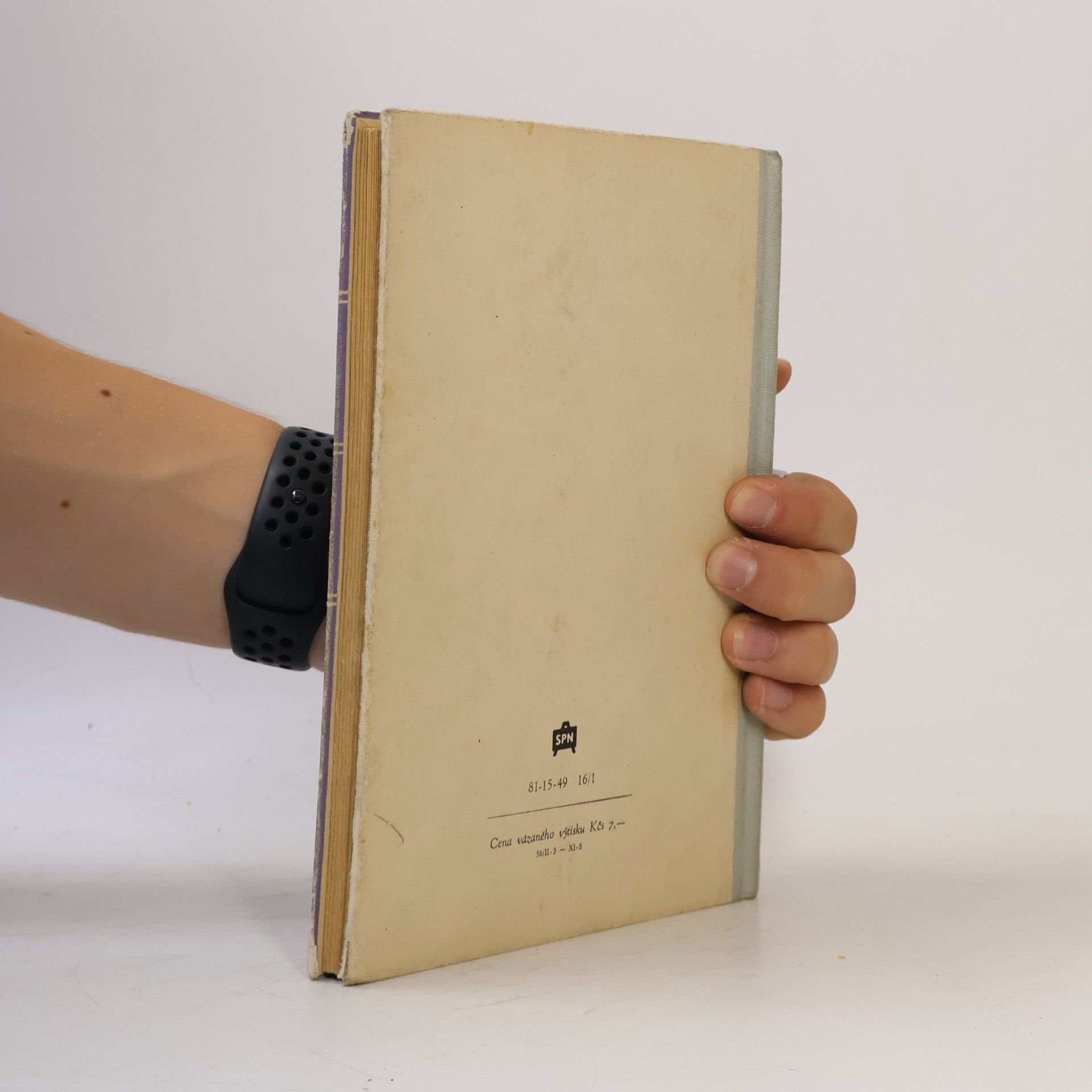 Svatopluk Cenek Teorie literatury