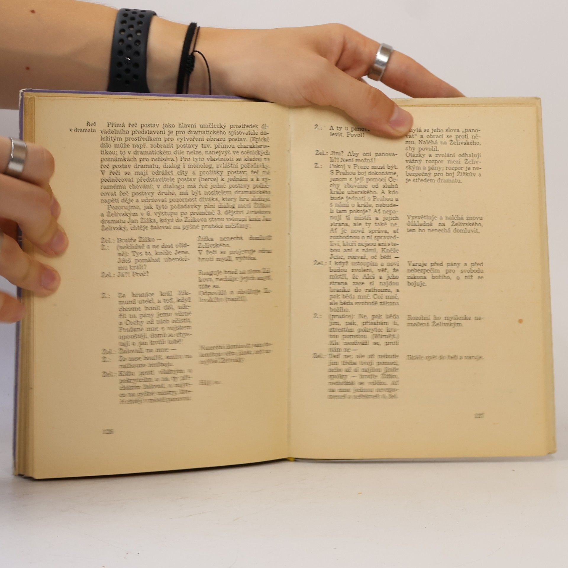 Svatopluk Cenek Teorie literatury