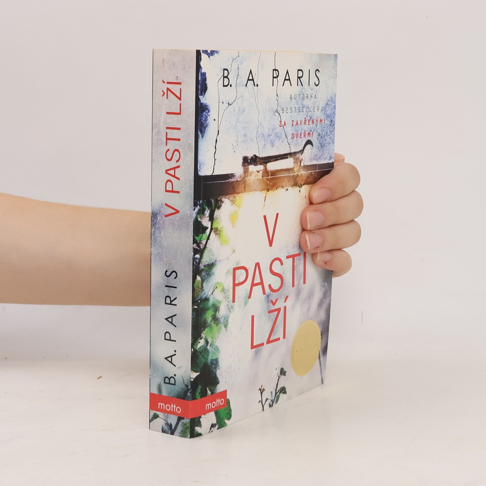 B.A. Paris V pasti lží