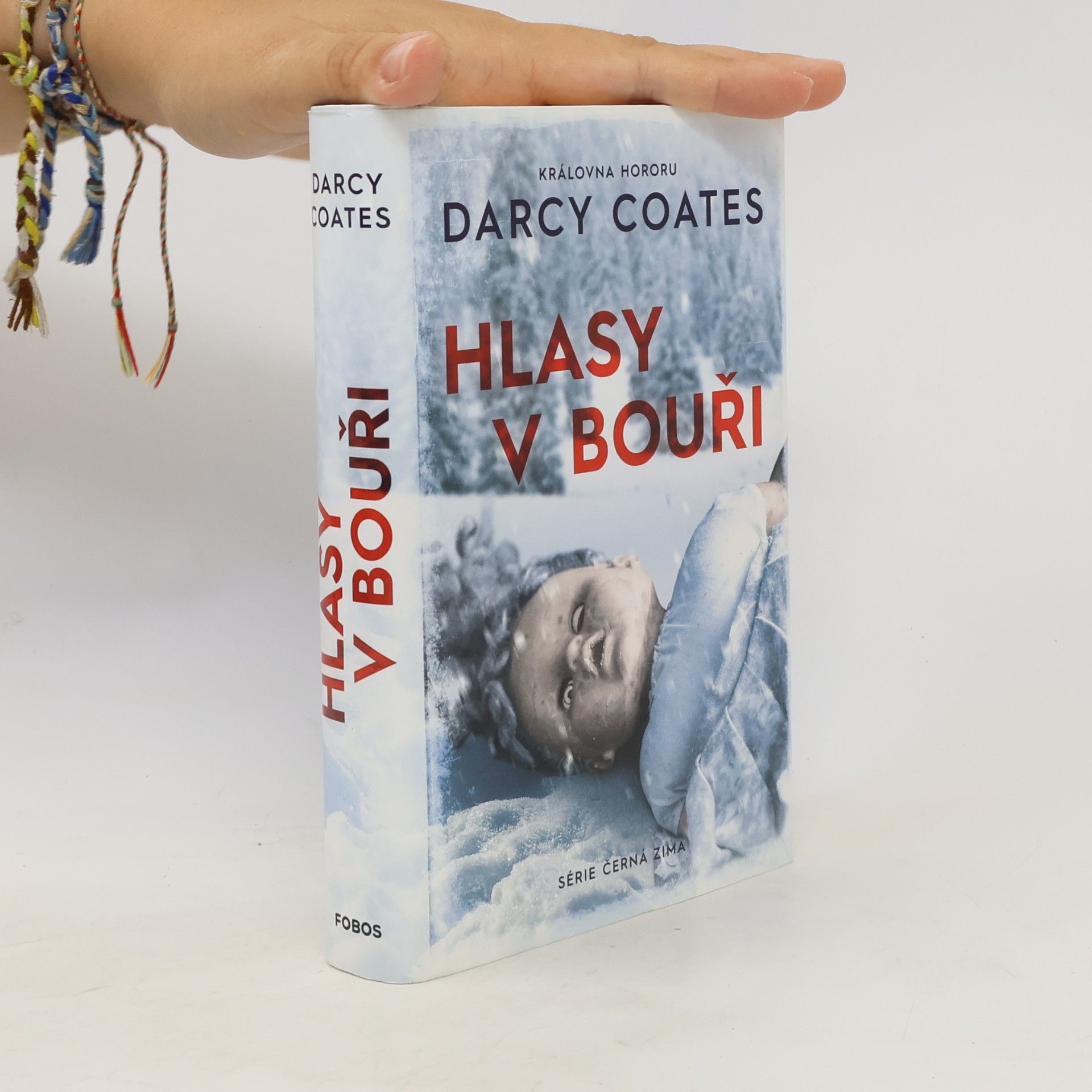 Darcy Coates Hlasy v bouři