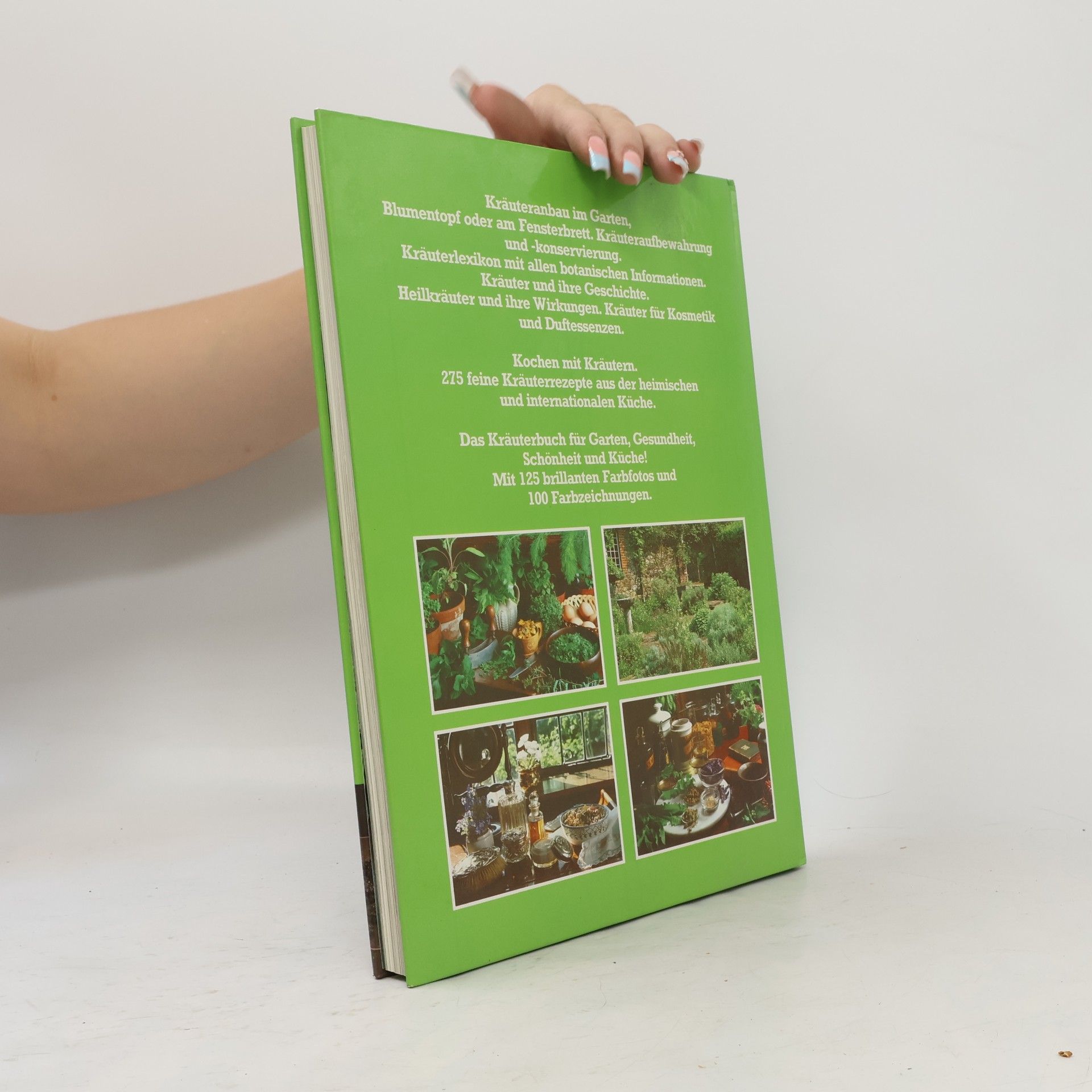 Autorenkollektiv Das Mosaik Kräuter Buch