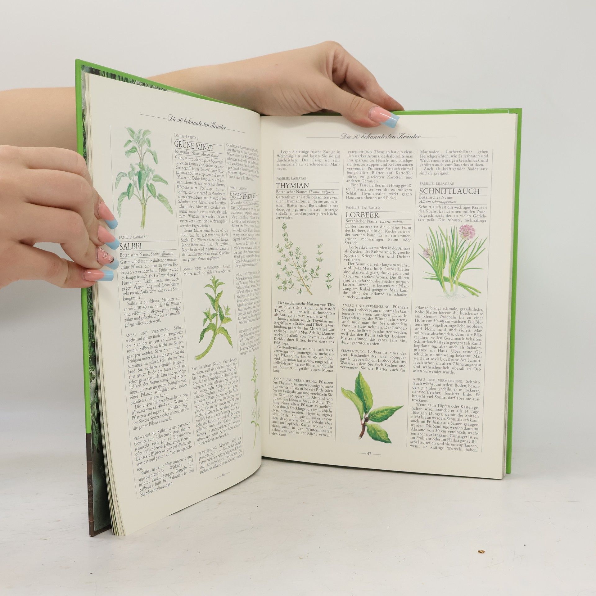 Autorenkollektiv Das Mosaik Kräuter Buch