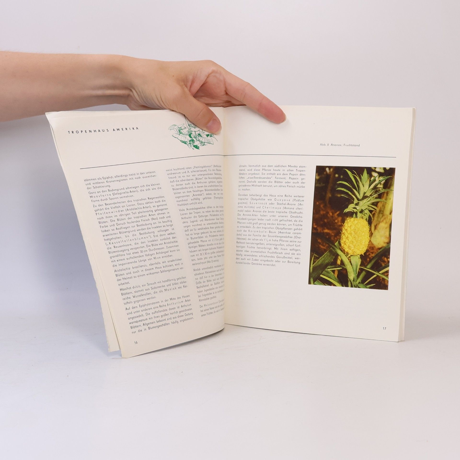 kolektiv Führer durch den Botanischer Garten