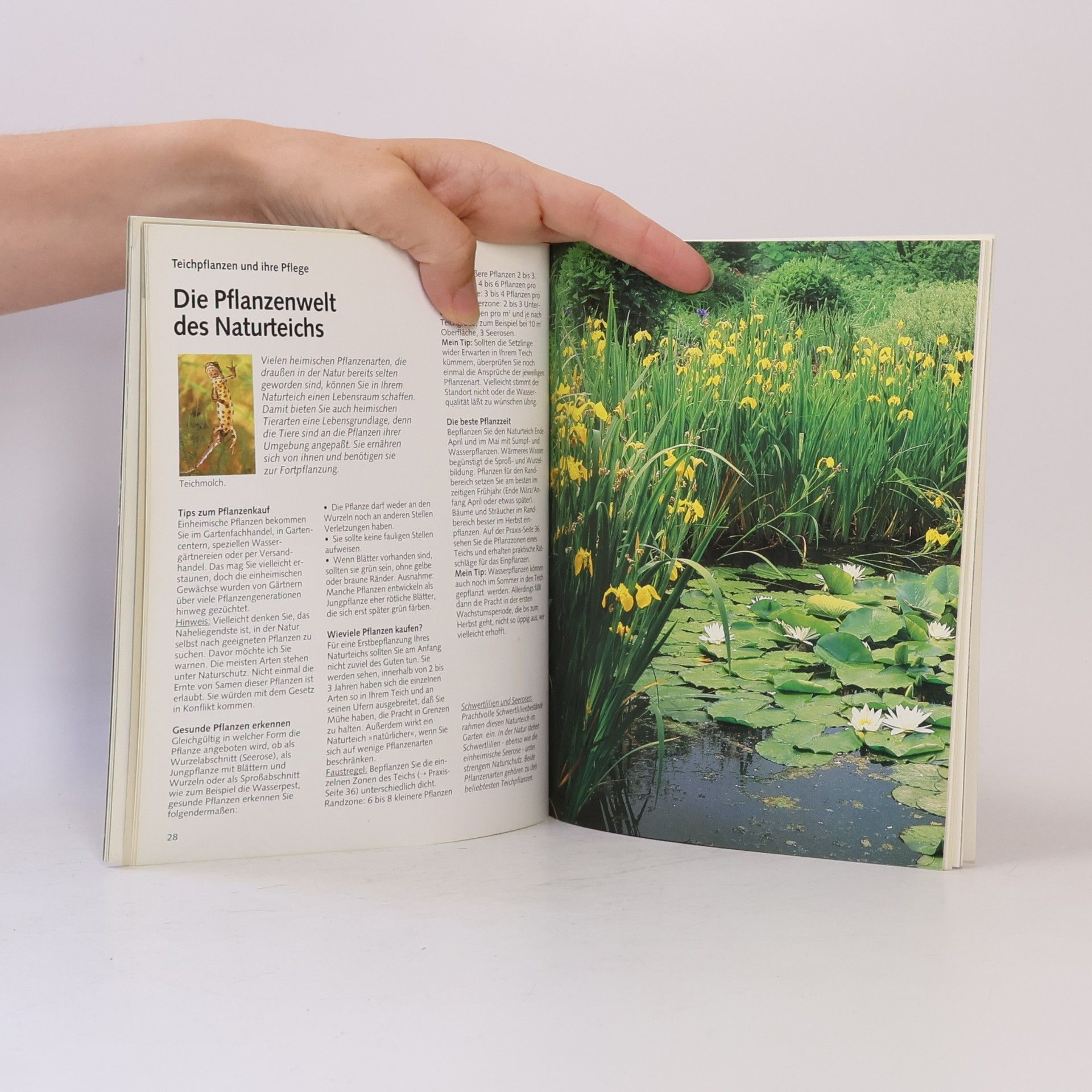 Hartmut Wilke Der Naturteich im Garten