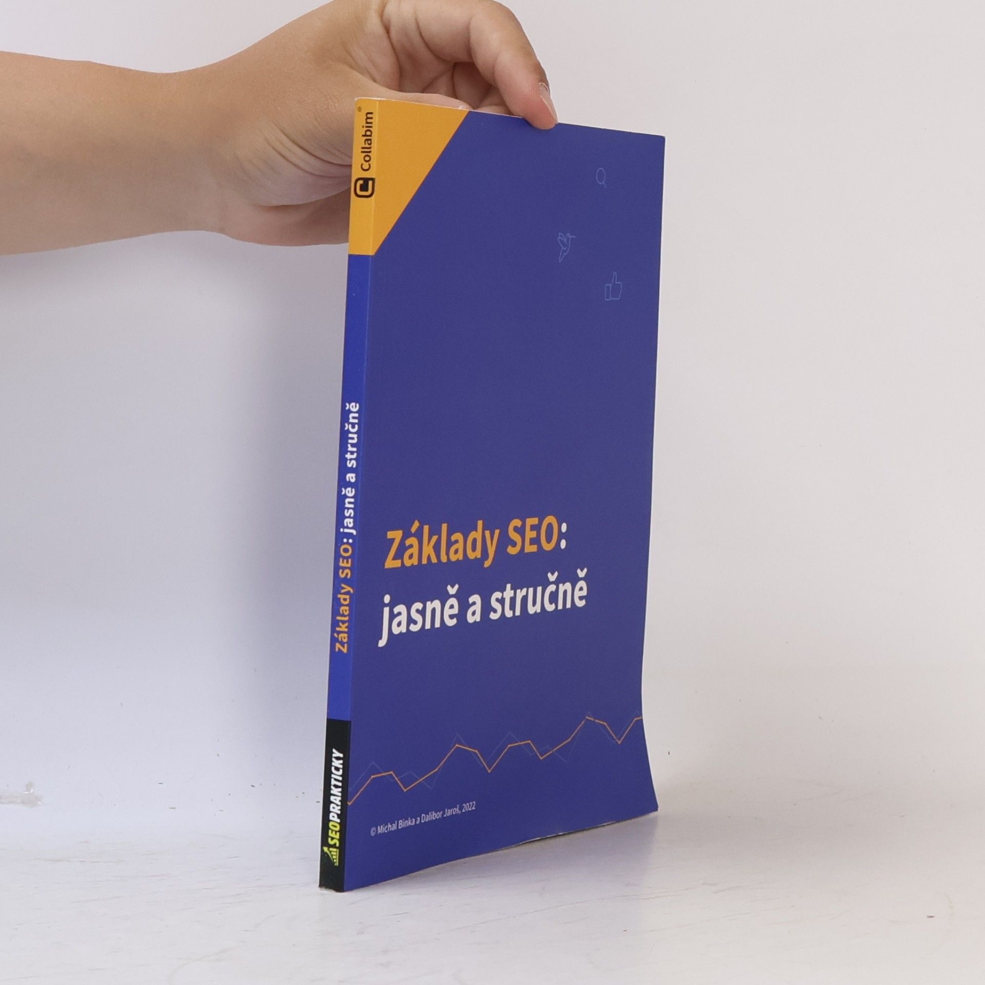 Michal Binka Základy SEO: Jasně a stručně