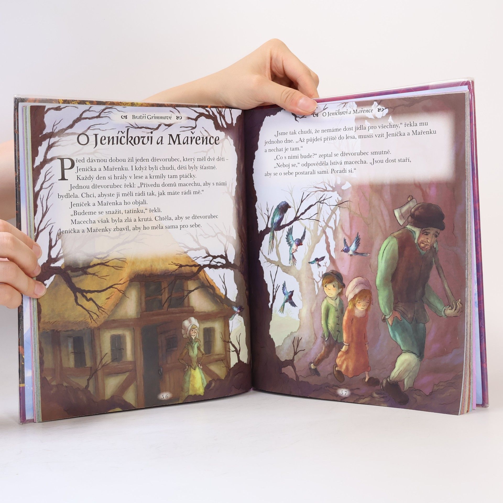 Jacob Grimm Pokladnice pohádek