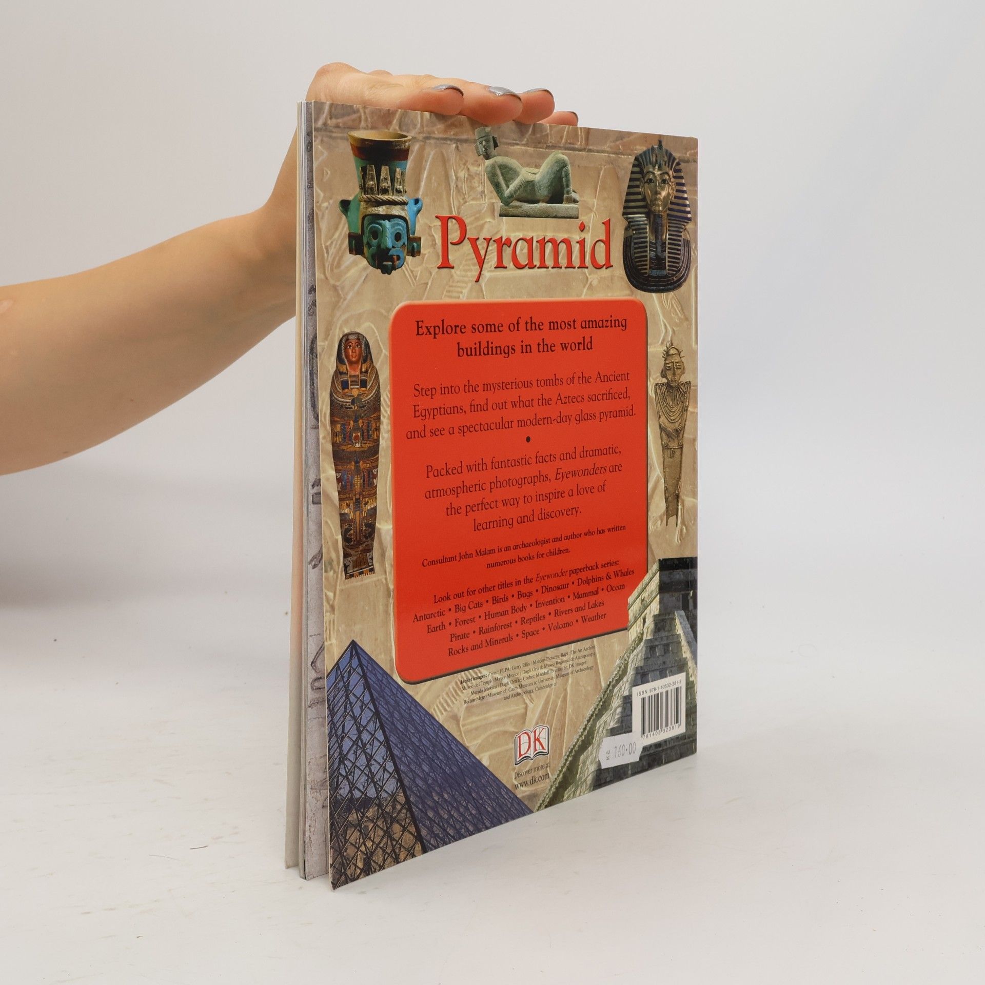 Jason Fry Eye Wonder: Pyramid