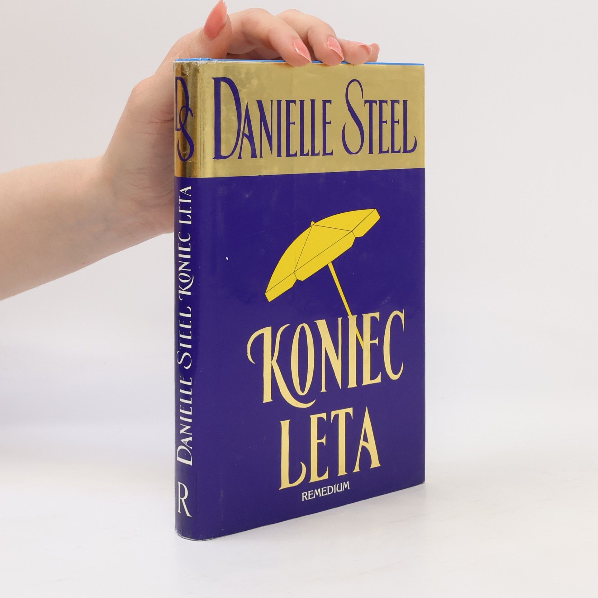 Danielle Steel Koniec leta