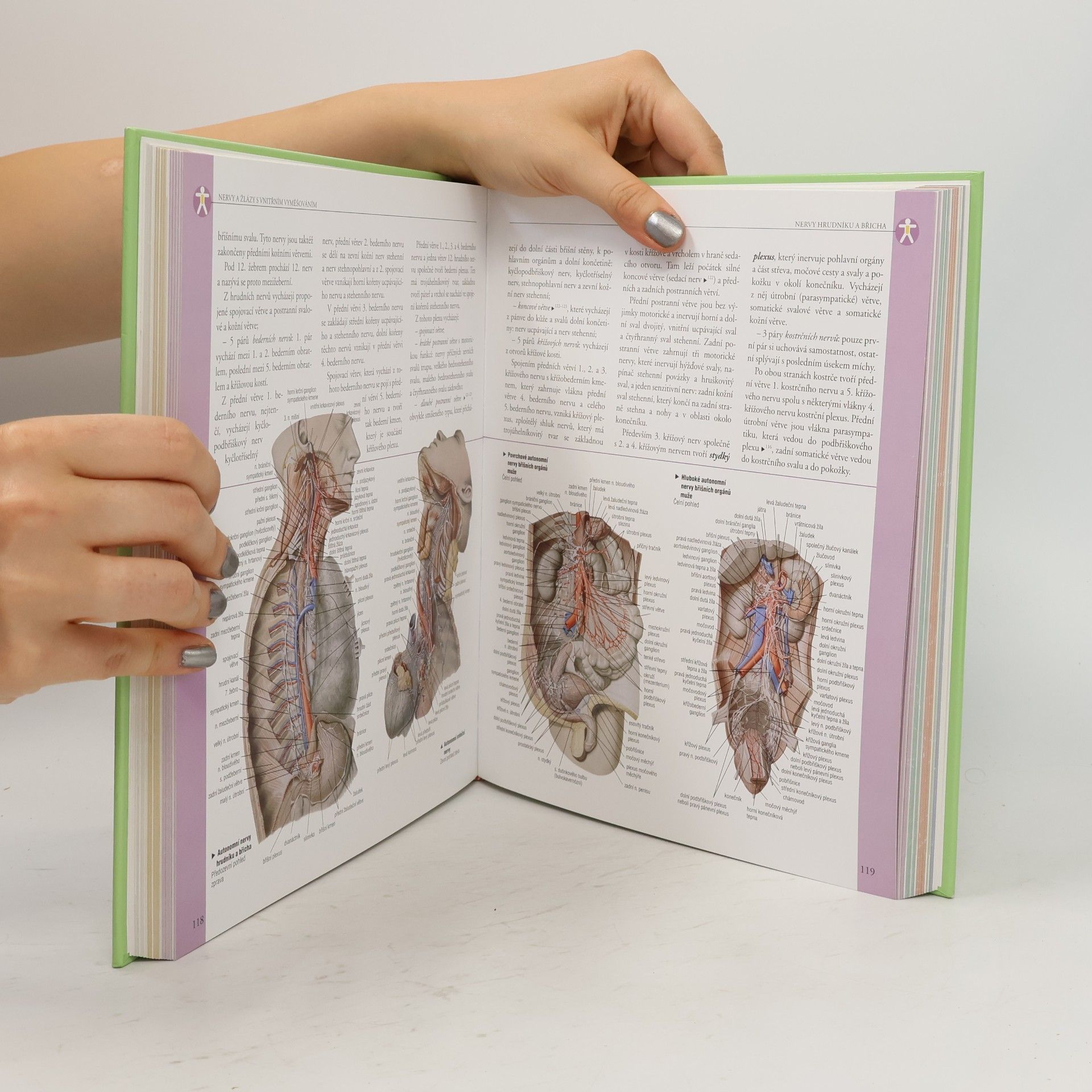 Adriana Rigutti Ilustrovaný atlas anatomie