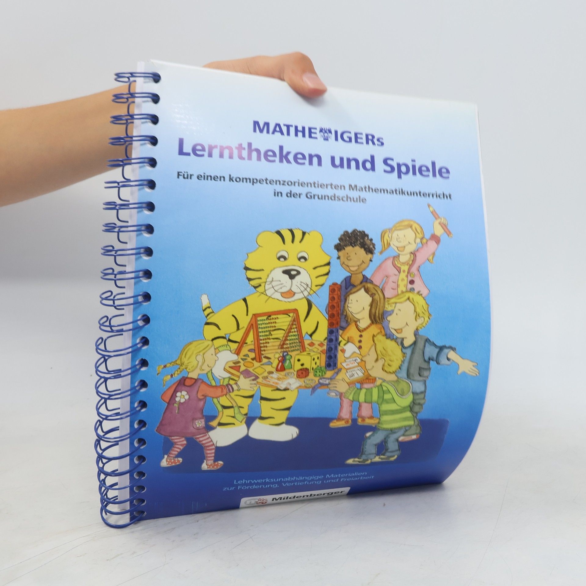 Matthias Heidenreich Mathetigers Lerntheken und Spiele