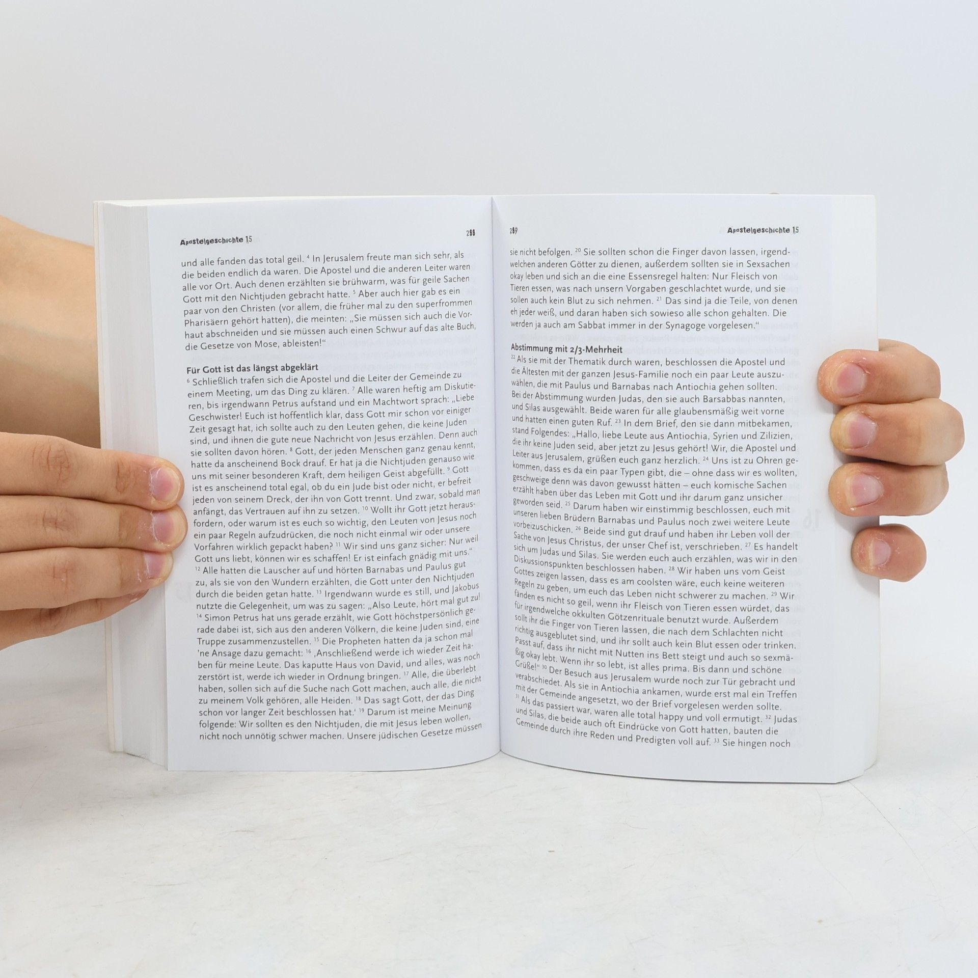 Martin Dreyer Die Volxbibel. Neues Testament