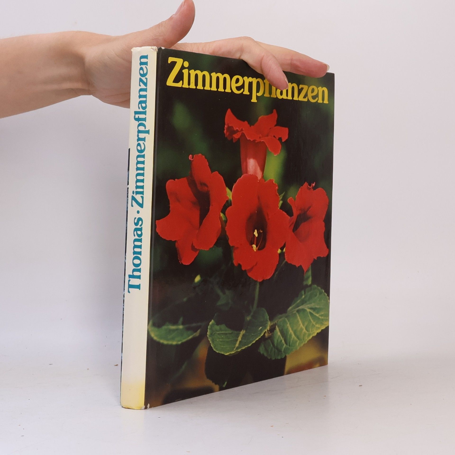 Editha Thomas Zimmerpflanzen