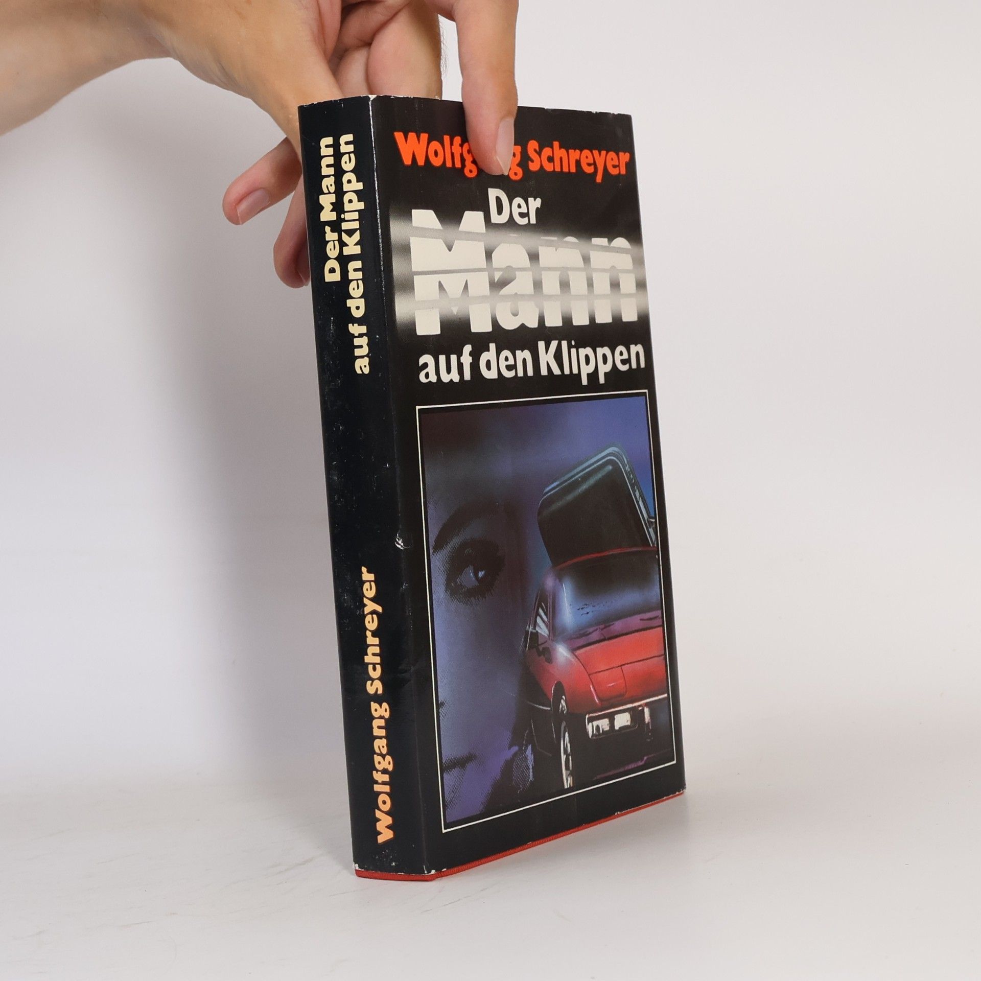 Wolfgang Schreyer Der Mann auf den Klippen