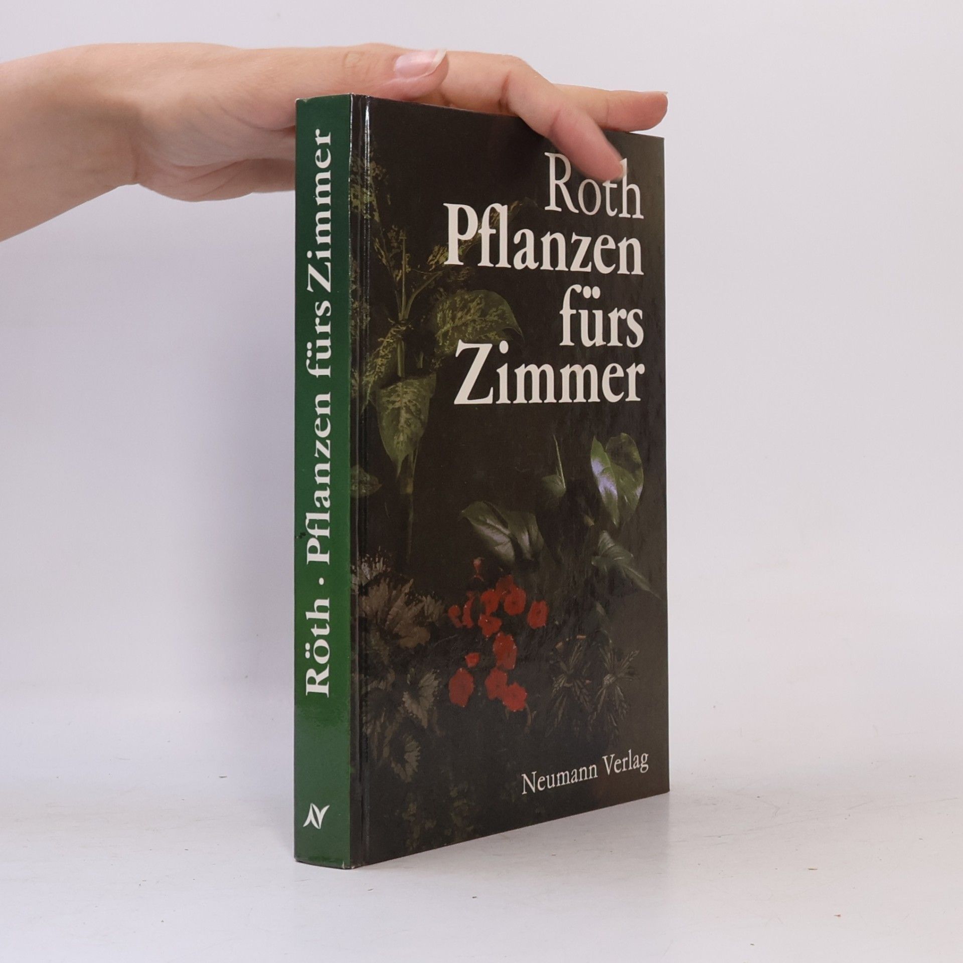Pflanzen fürs Zimmer