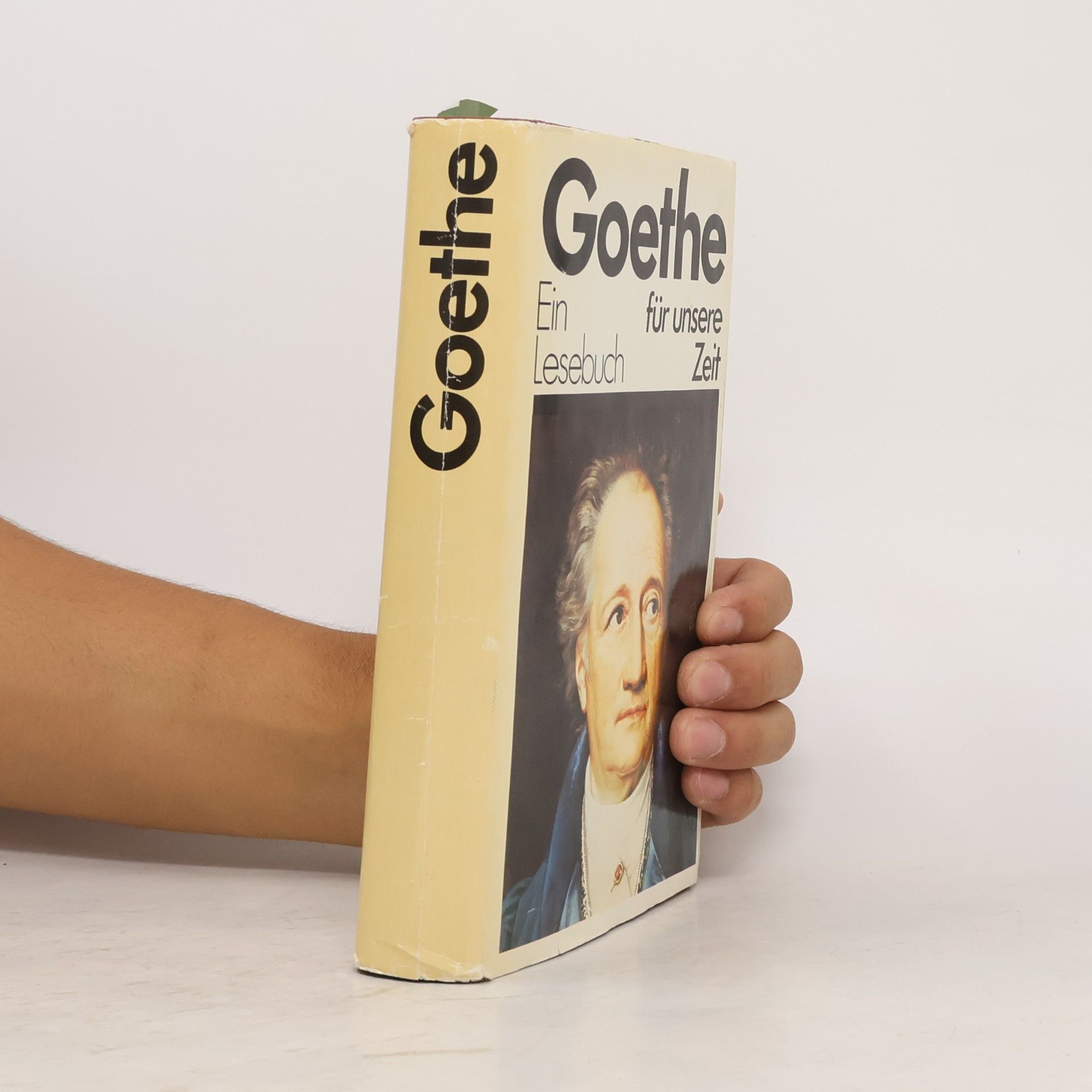 Walther Victor Goethe. Ein Lesebuch für unsere Zeit