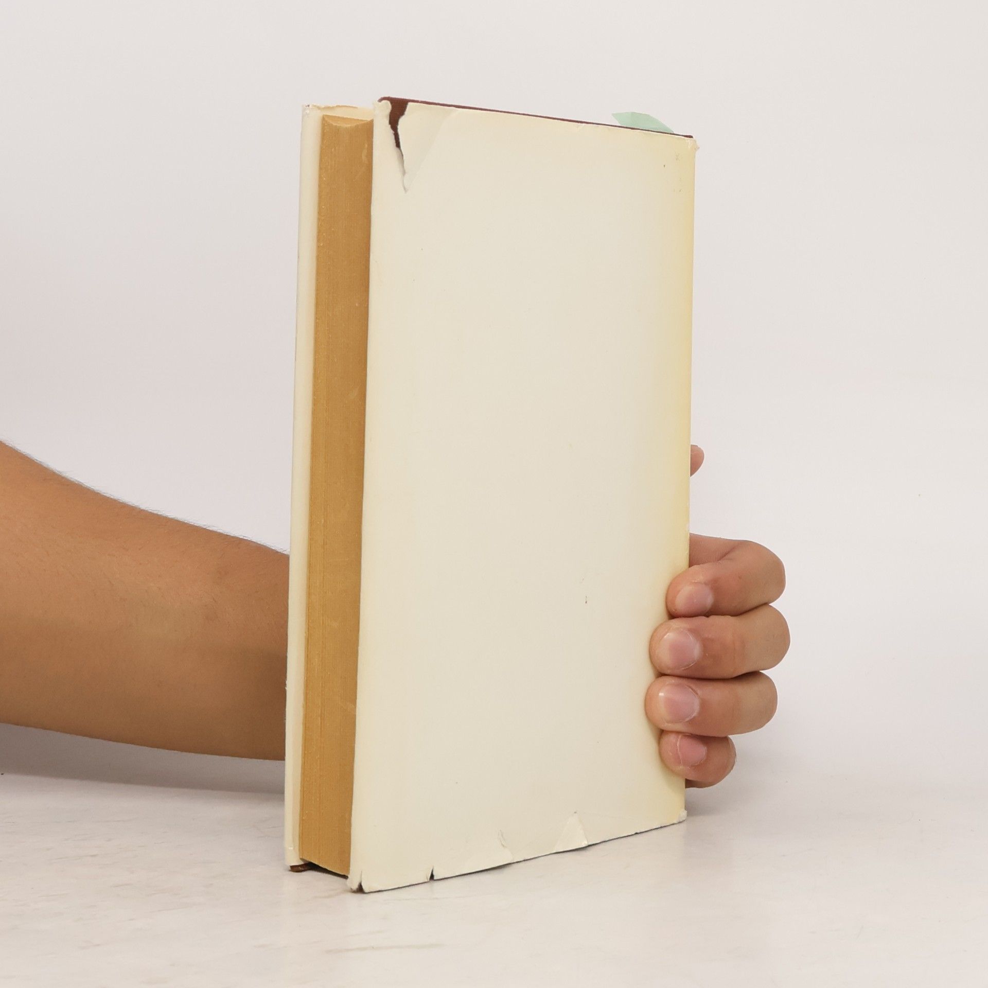 Walther Victor Goethe. Ein Lesebuch für unsere Zeit
